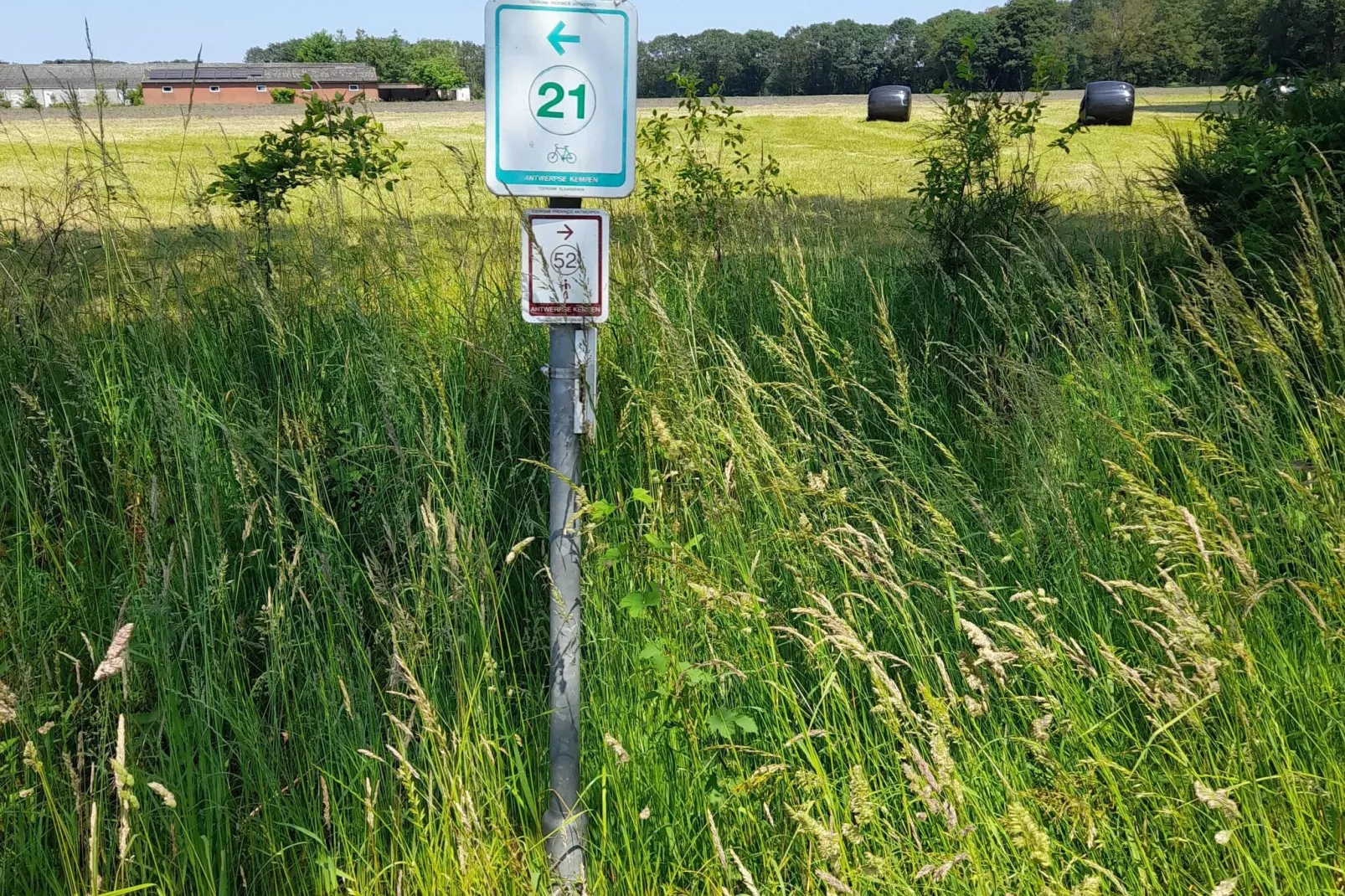 Oud-Turnhout-Gebieden zomer 1km