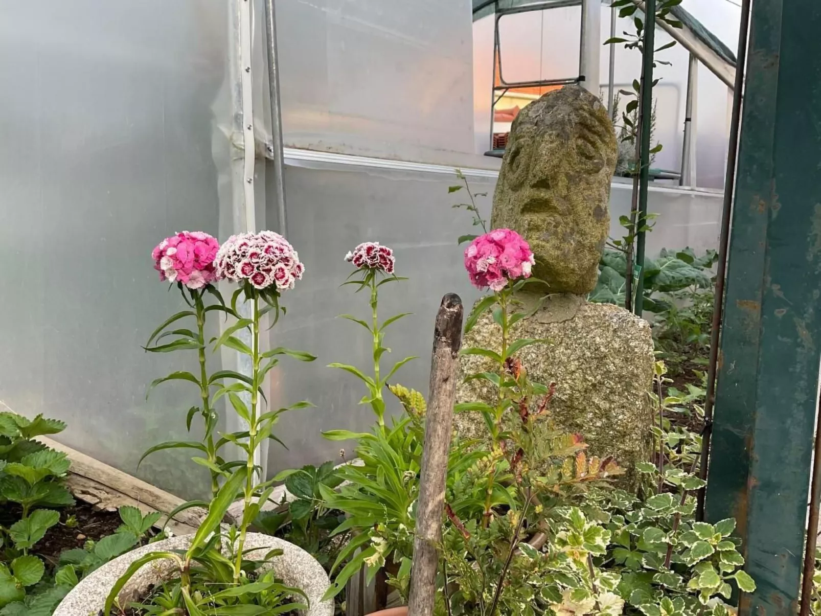 Casa da Guilheta-Image-tags.info