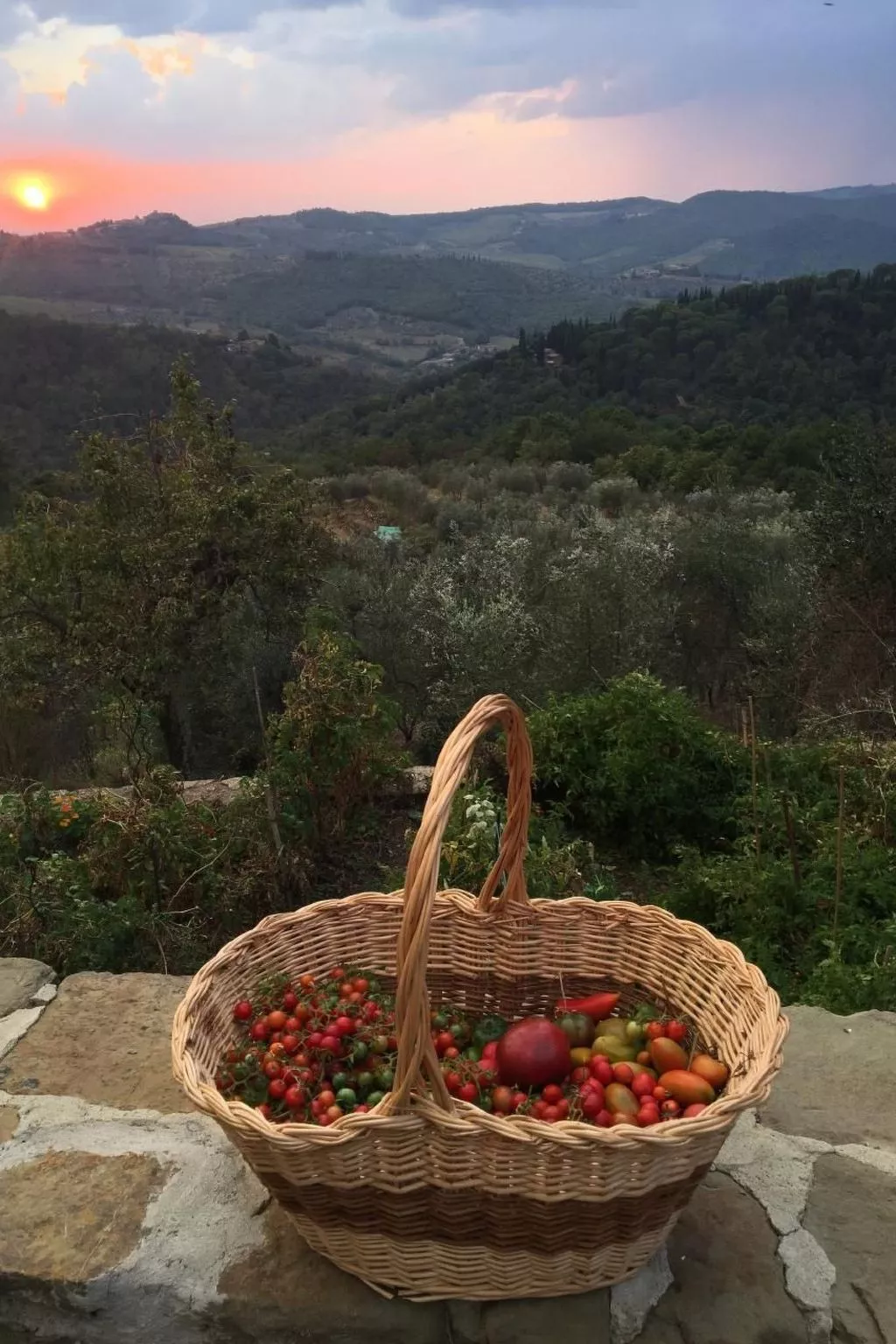 Podere Campolungo - Lo Studio-Image-tags.info