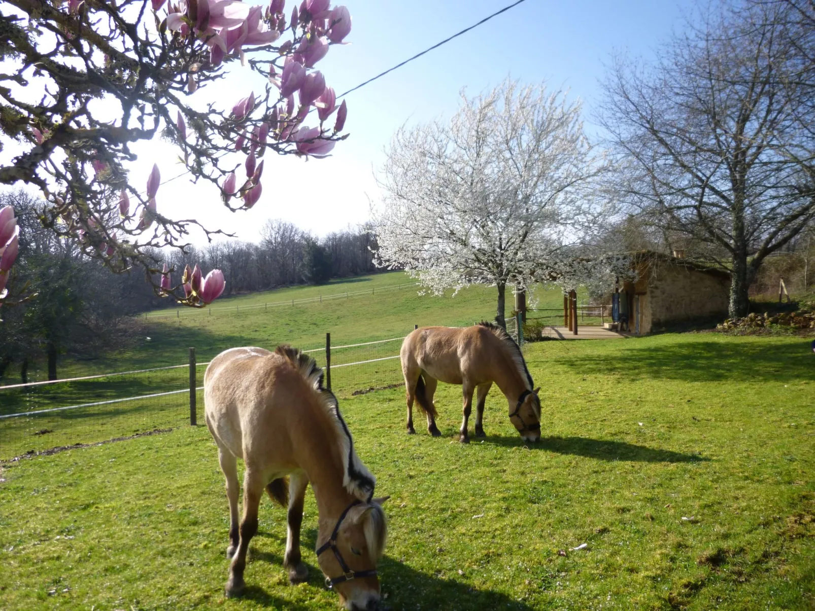 Komfort, Ruhe, privater Pool, EV-Ladestation-Buiten