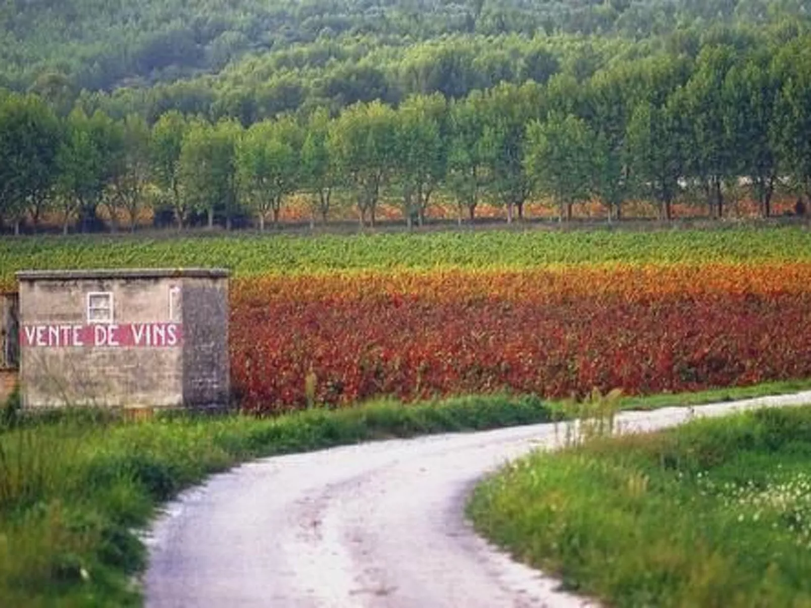 Vakantiehuis La Cigale-Buiten