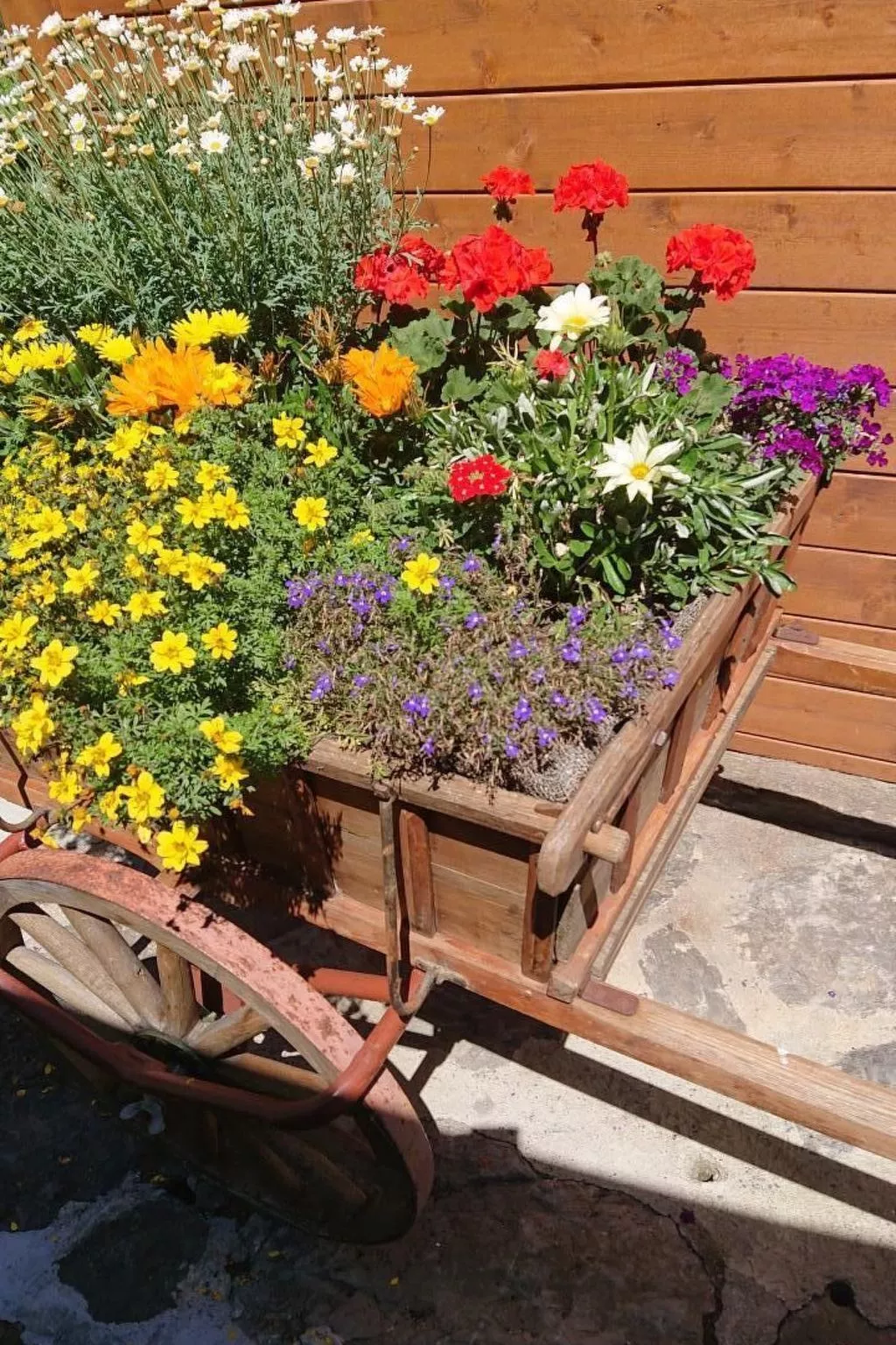 Alpen-Paradies-Buiten