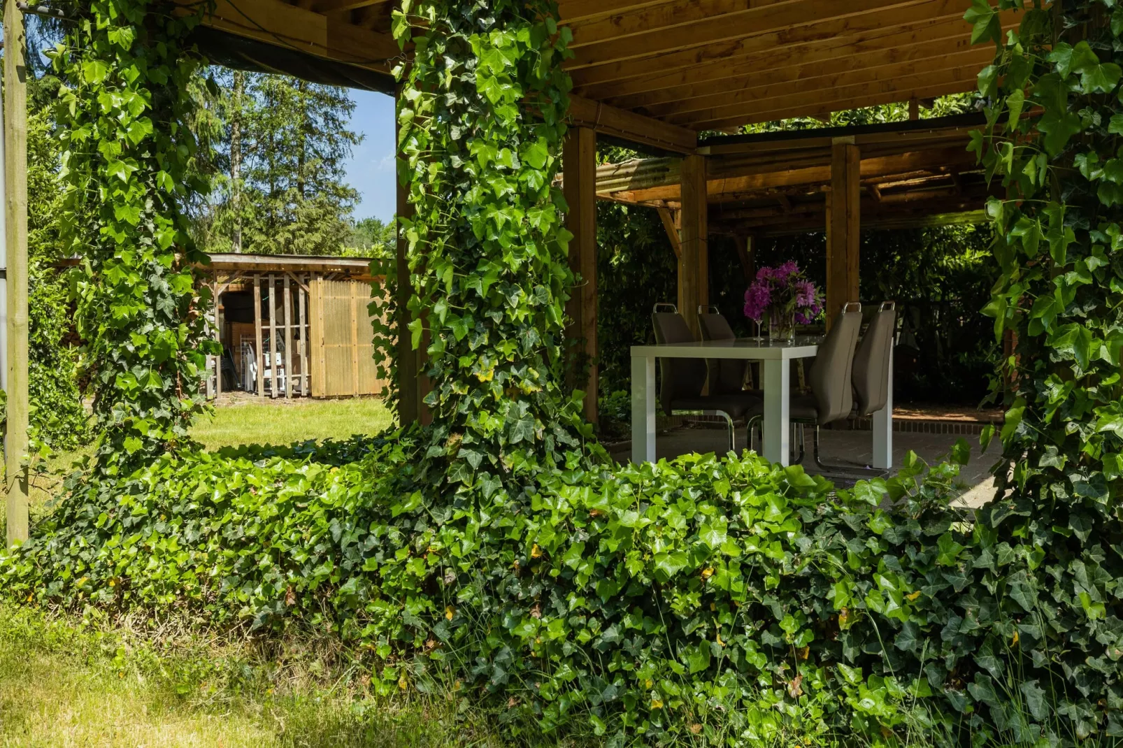 Het Boshuis-Tuinen zomer