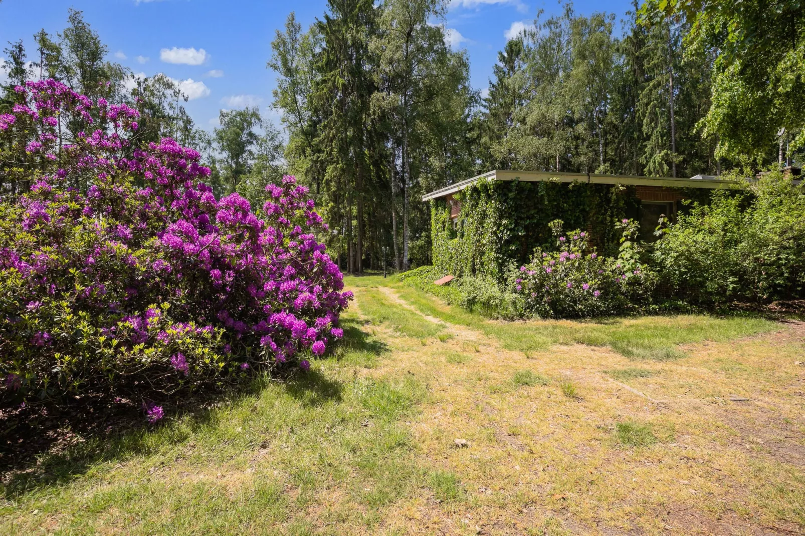 Het Boshuis-Gebieden zomer 1km