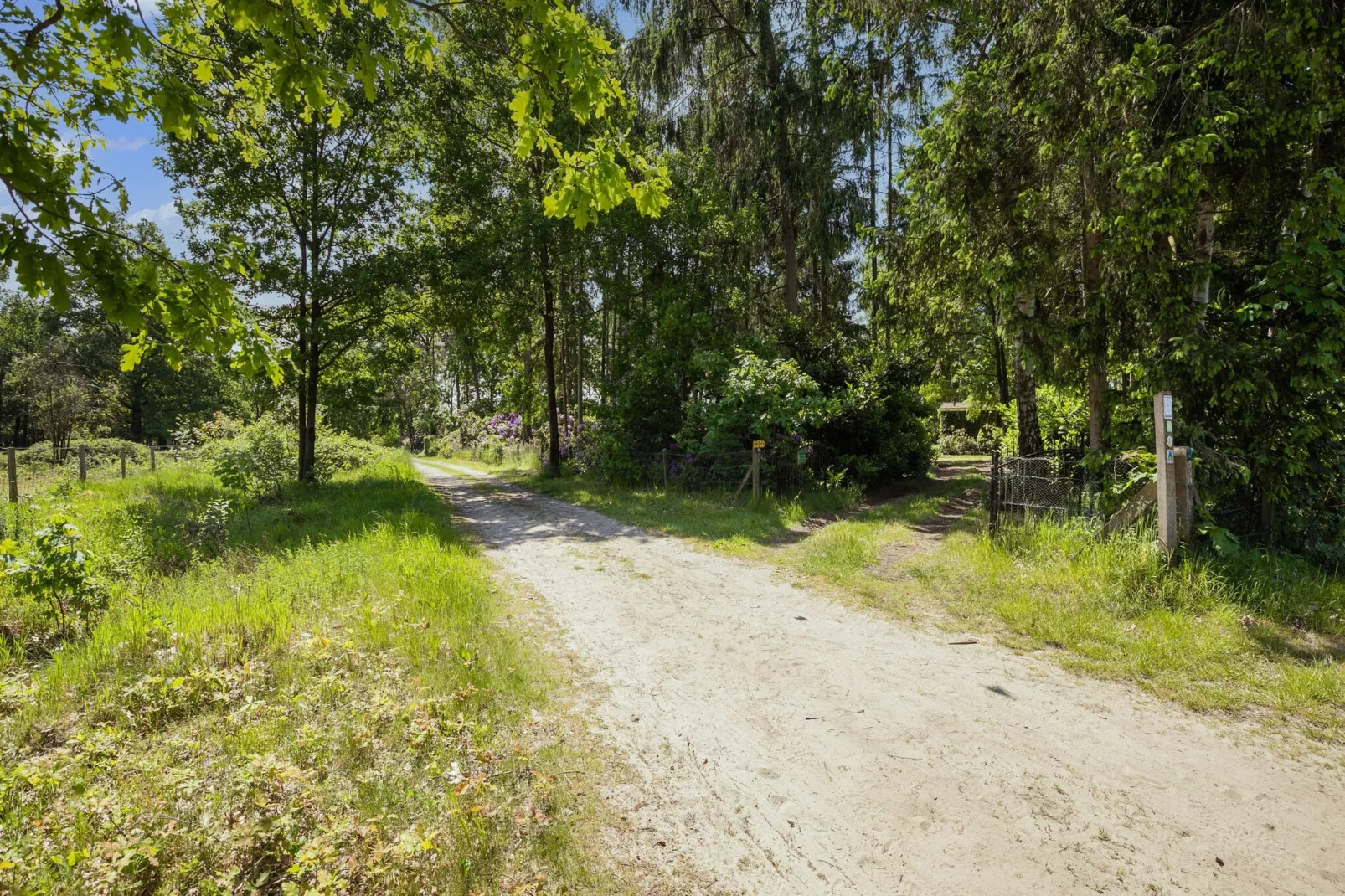 Het Boshuis-Gebieden zomer 5km