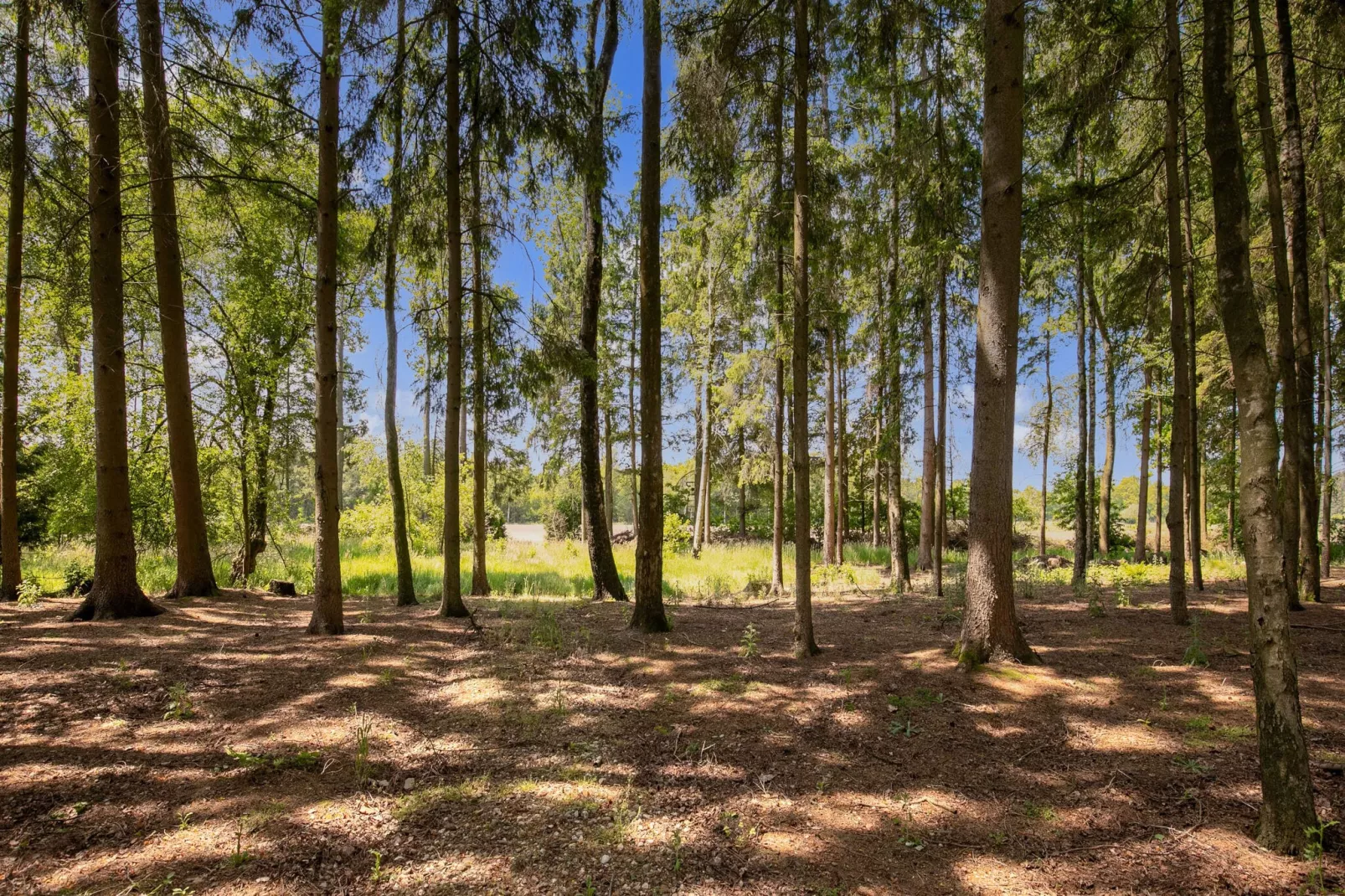 Het Boshuis-Gebieden zomer 5km