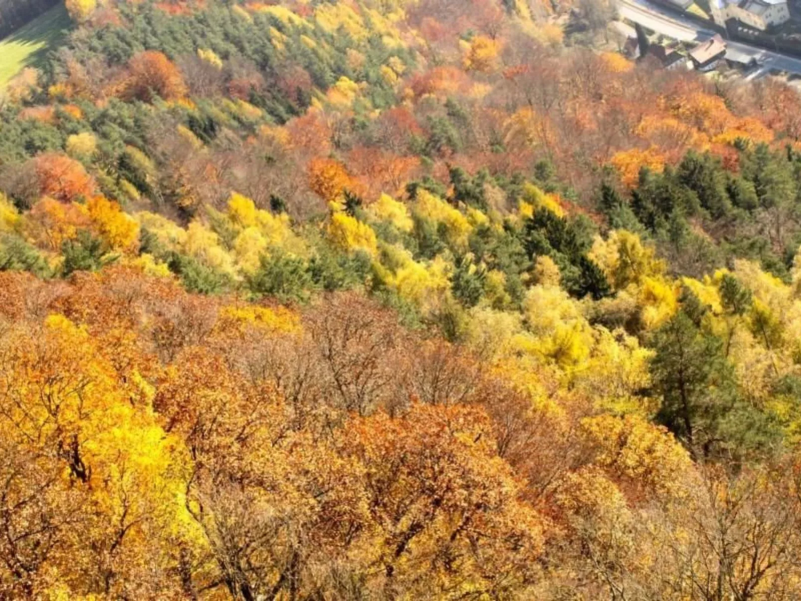 Fewo Natur und Kunst-Buiten