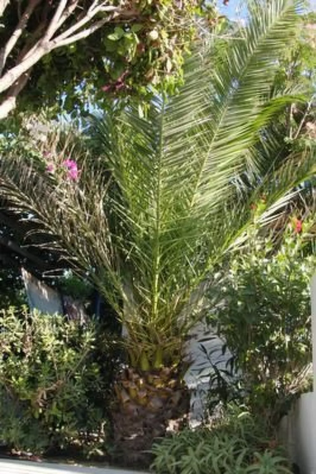 Erdgeschosswohnung im Castle View Haraki-Image-tags.info