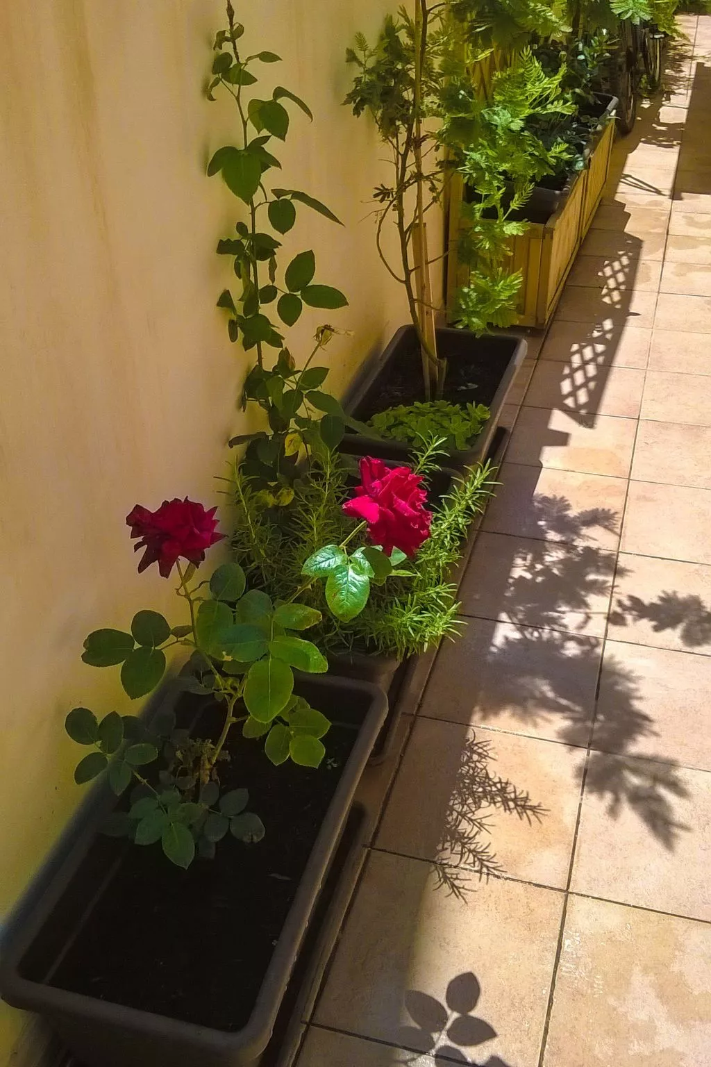 Wohnung an der Scala dei Turchi-Binnen