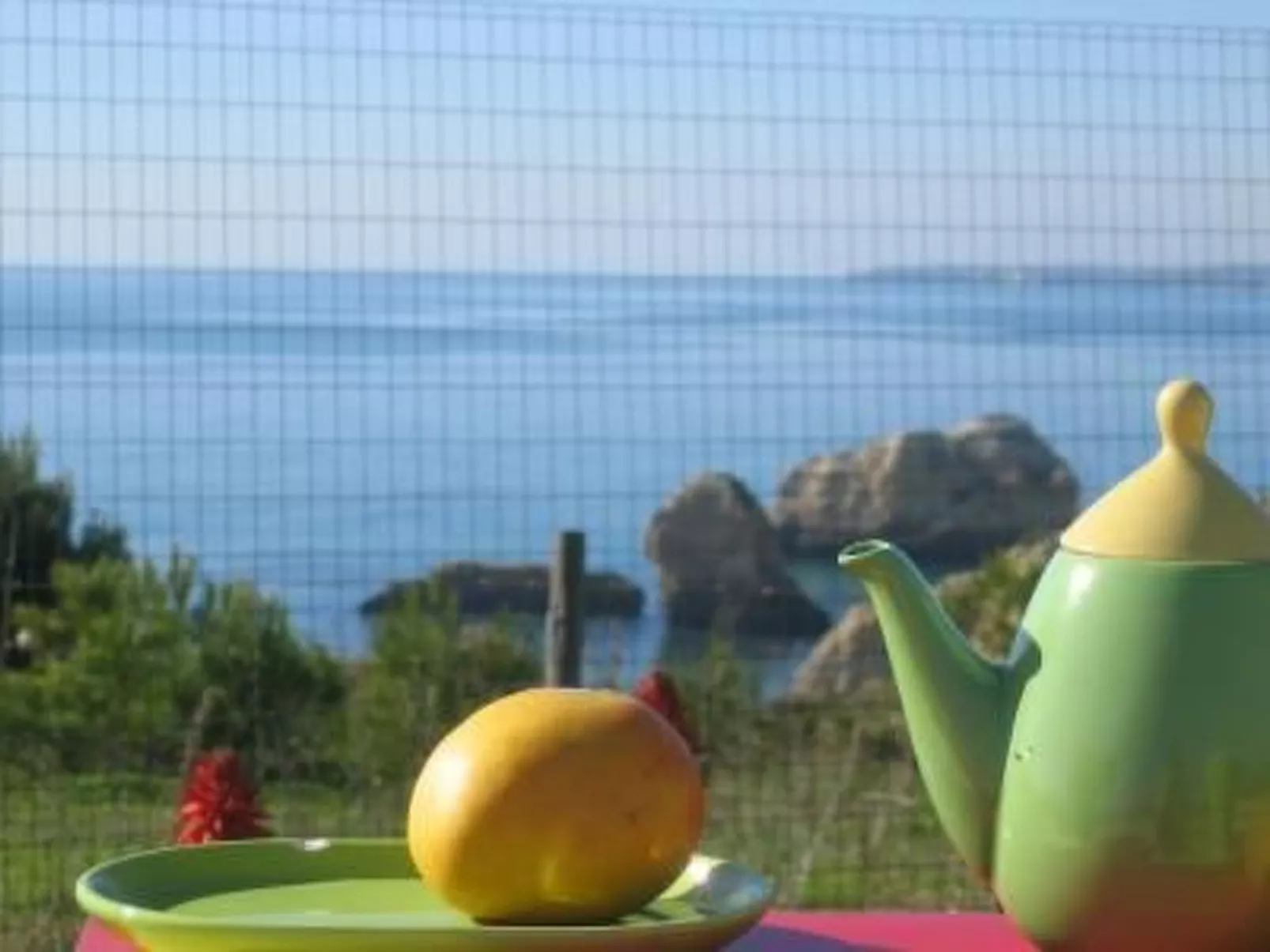 Einzigartige Lage, atemberaubende Aussicht, Leben in der Natur.-Image-tags.info