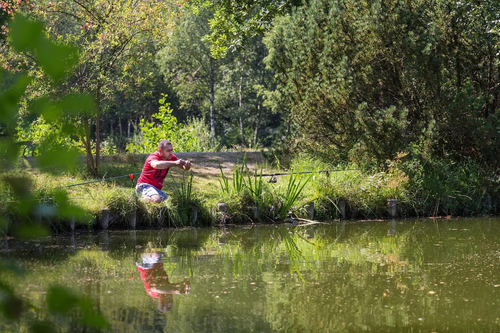 Resort Zilverstrand 11-Gebieden zomer 1km