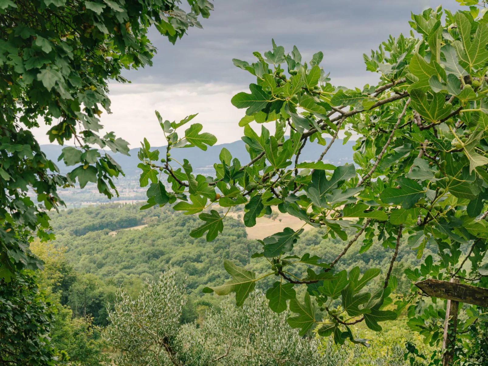 Casale Il Cungi-Buiten