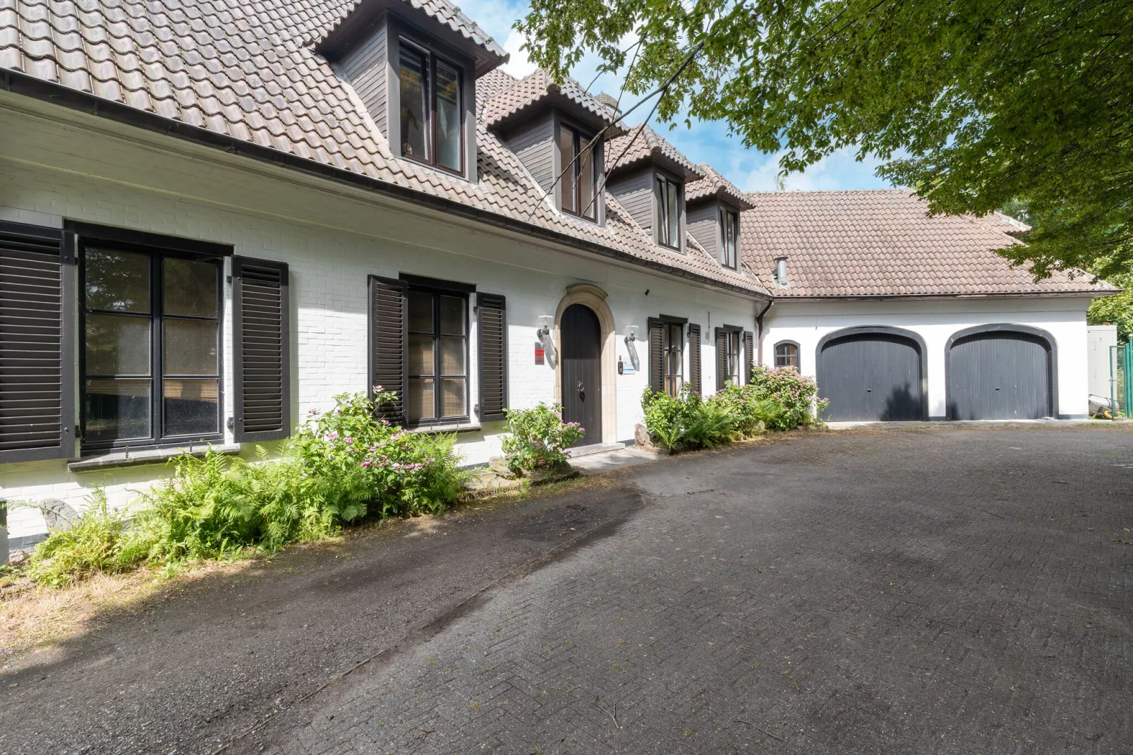 Paradiso Park 30p-Buitenkant zomer