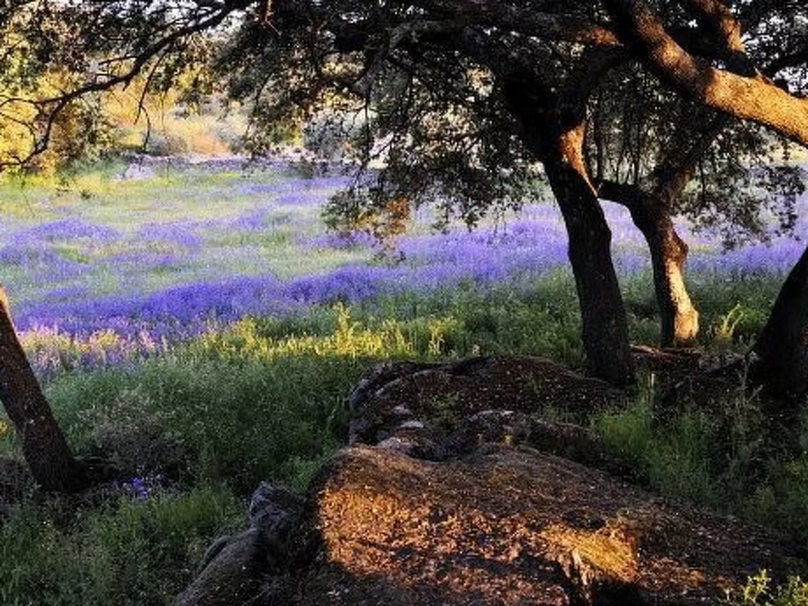 The Barn at Finca al-manzil-Image-tags.info