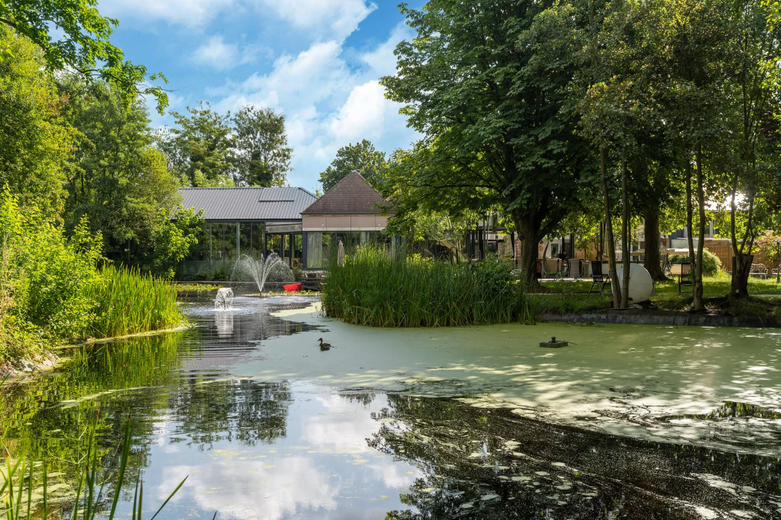 Paradiso Park 30p-Gebieden zomer 1km