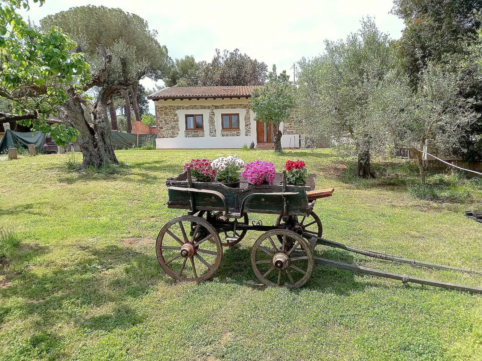 "Giotto" mit Terrasse-Buiten