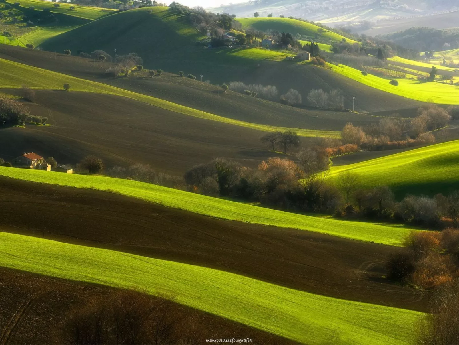 'Casa il Girasole'-Buiten