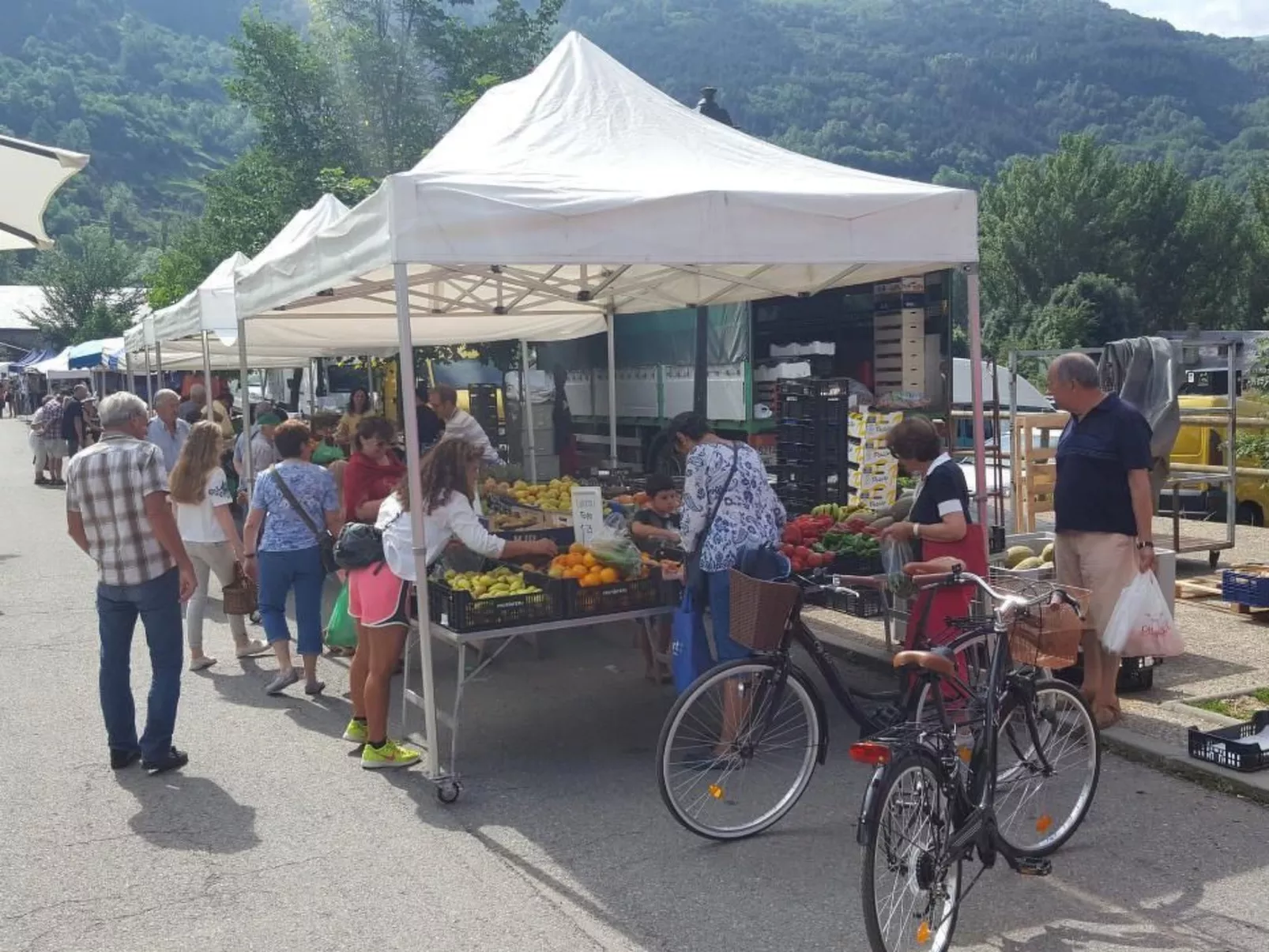 Appartement mit Terrasse-Image-tags.info