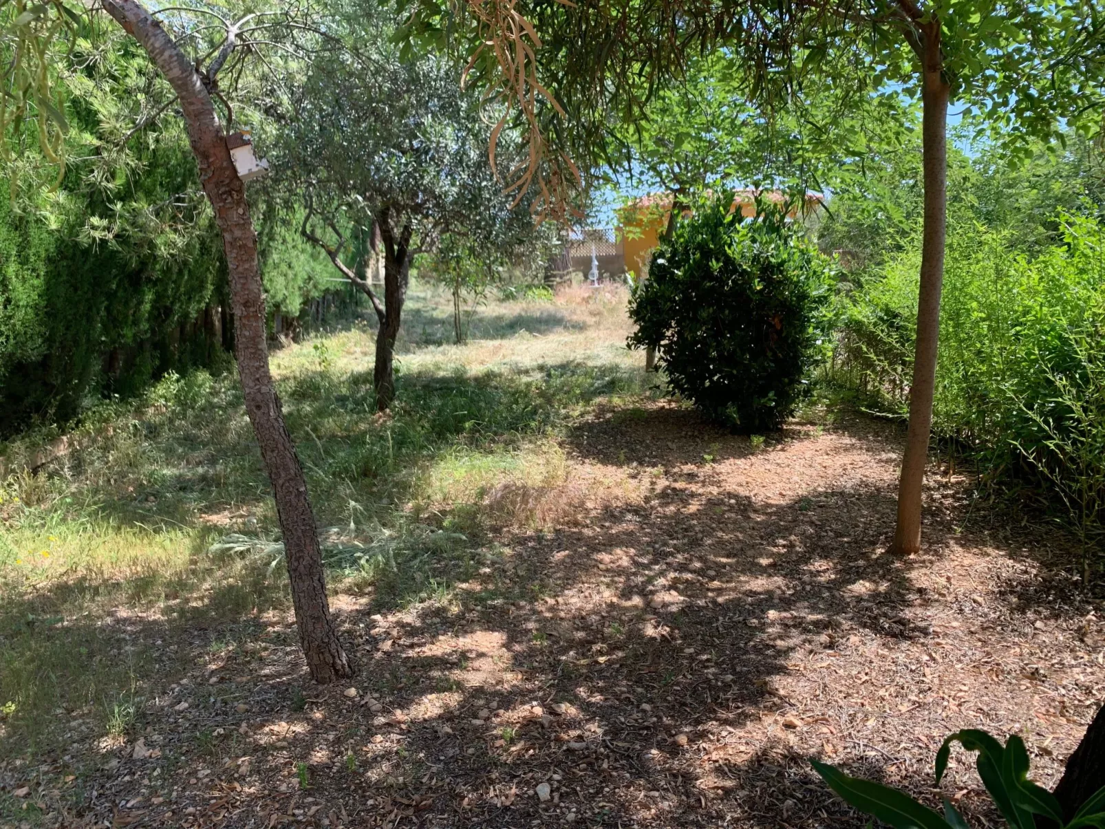 Villa Barby mit Pool für 7 Personen-Buiten