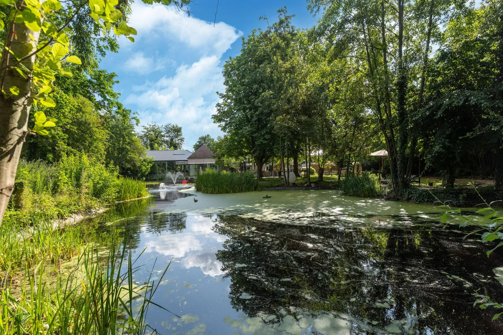 Paradiso Park 16 p-Tuinen zomer