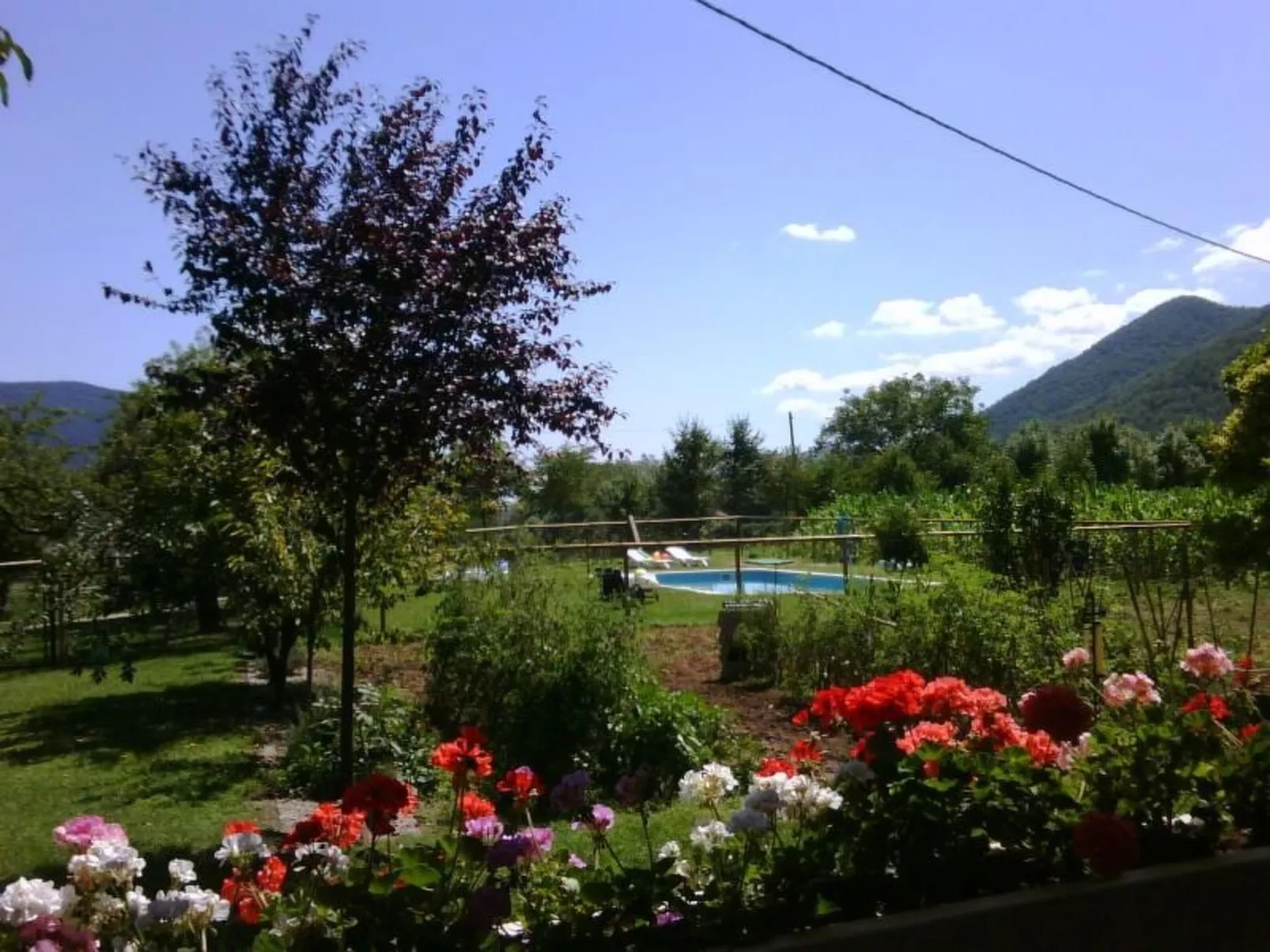 Wohnung El Graner mit großer Fensterfront-Image-tags.info