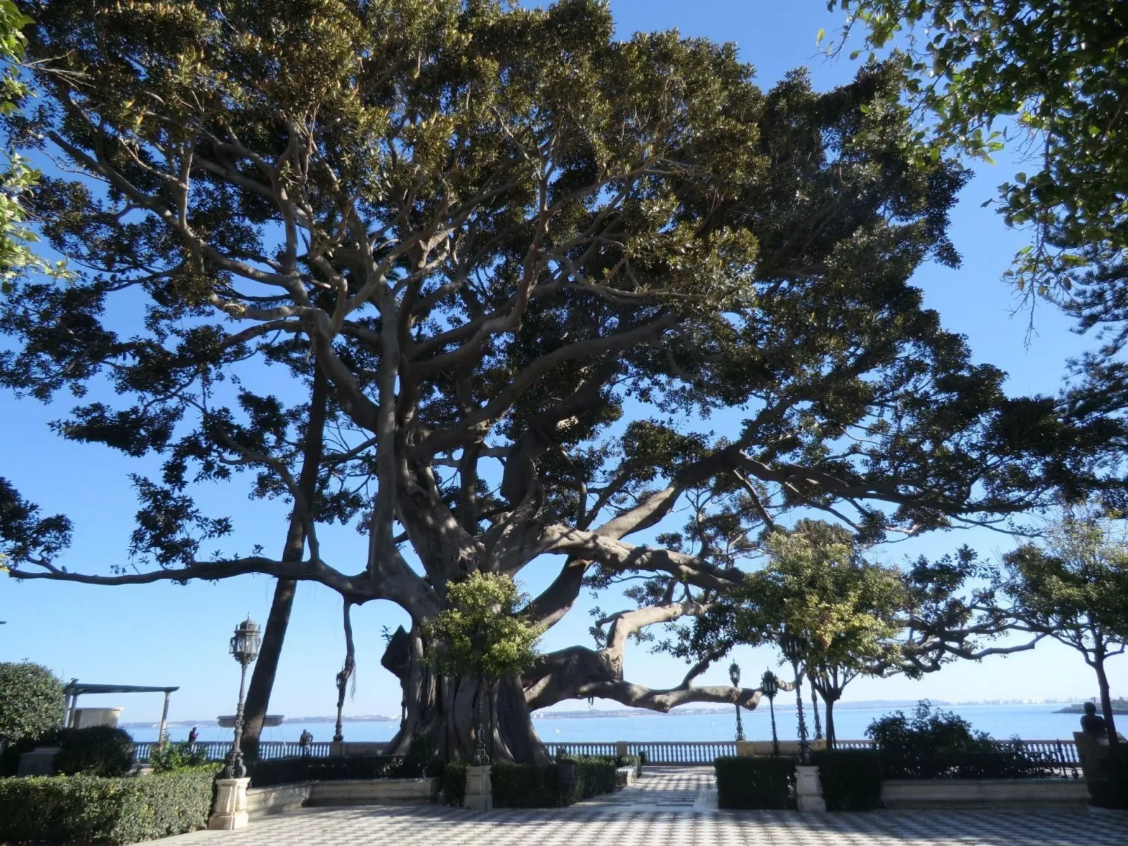 Große Wohnung in Cádiz, Kathedrale in der Nähe-Binnen