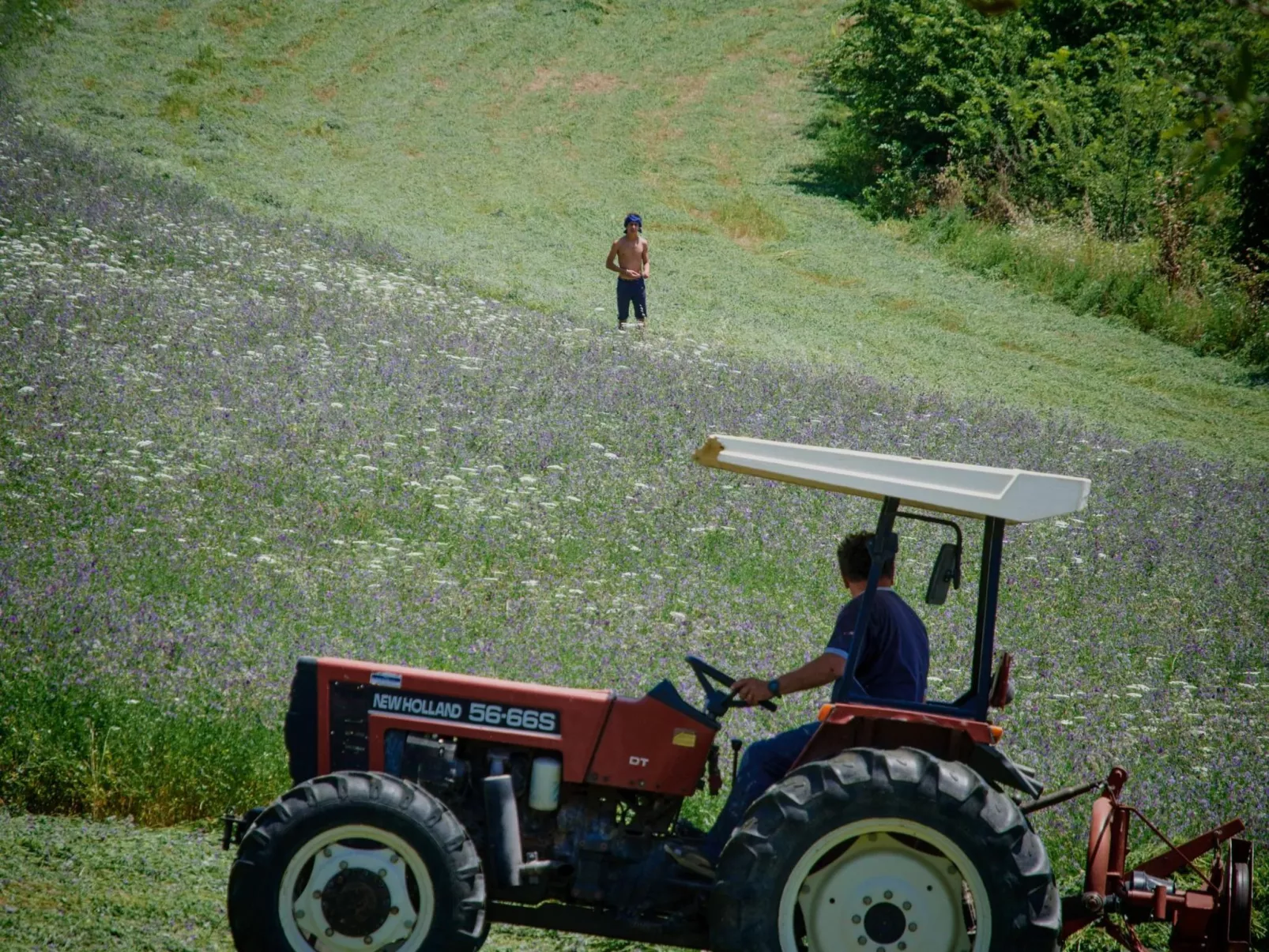 Das Walnusshaus-Buiten
