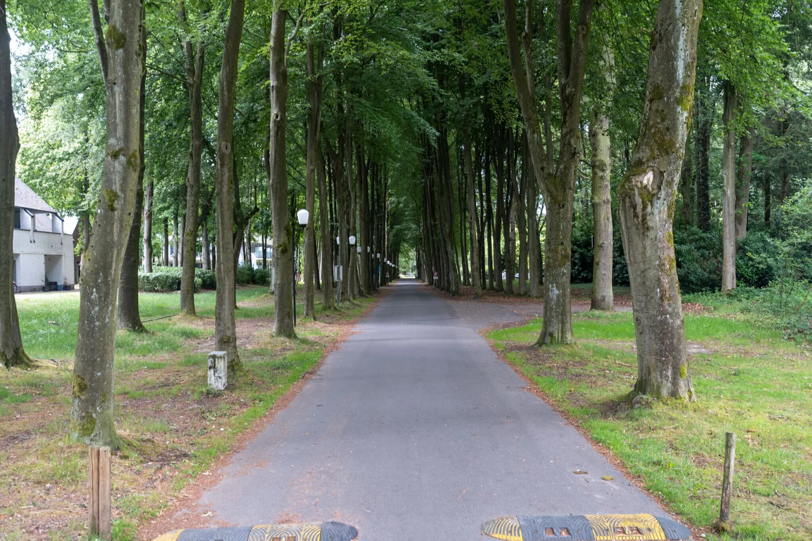 Hengelhoef-Gebieden zomer 20km