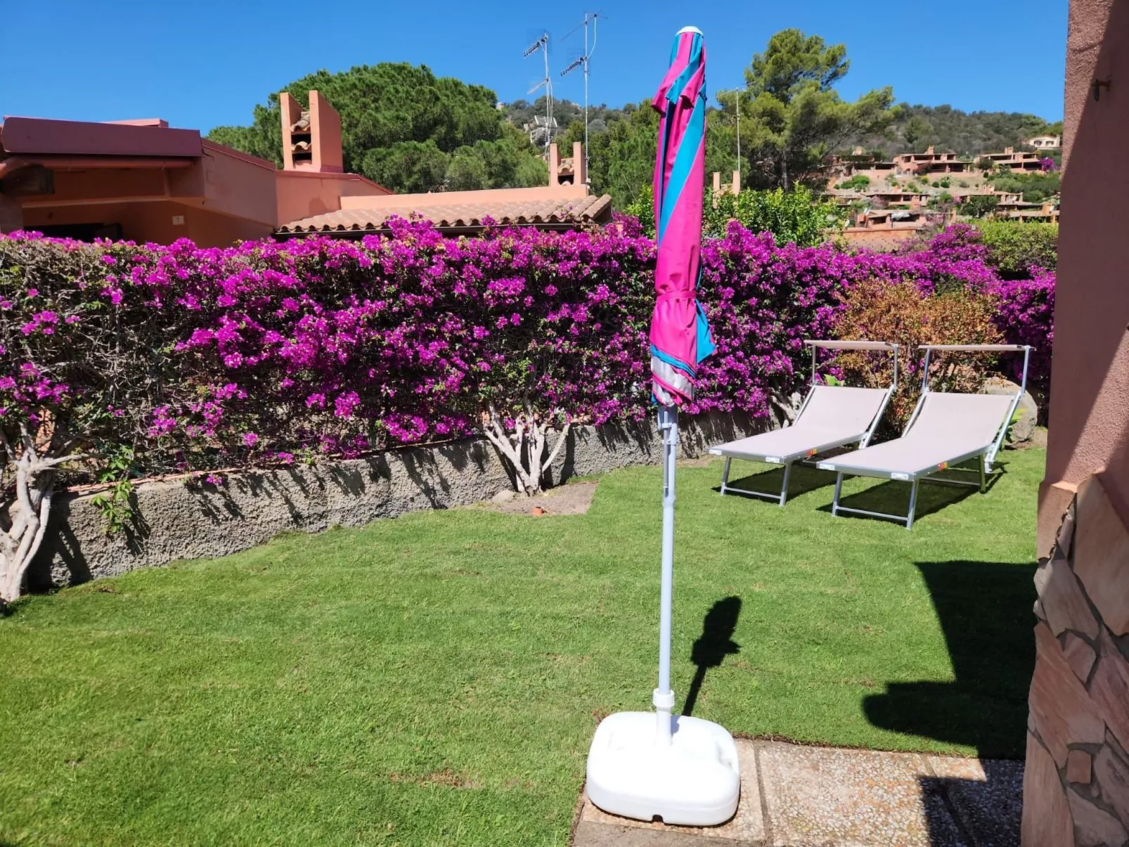 'Trilo Luna-Image-tags.info