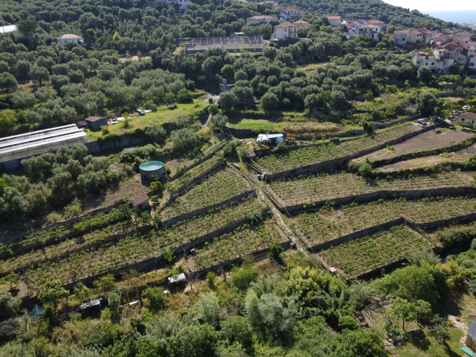 In Diano San Pietro-Buiten