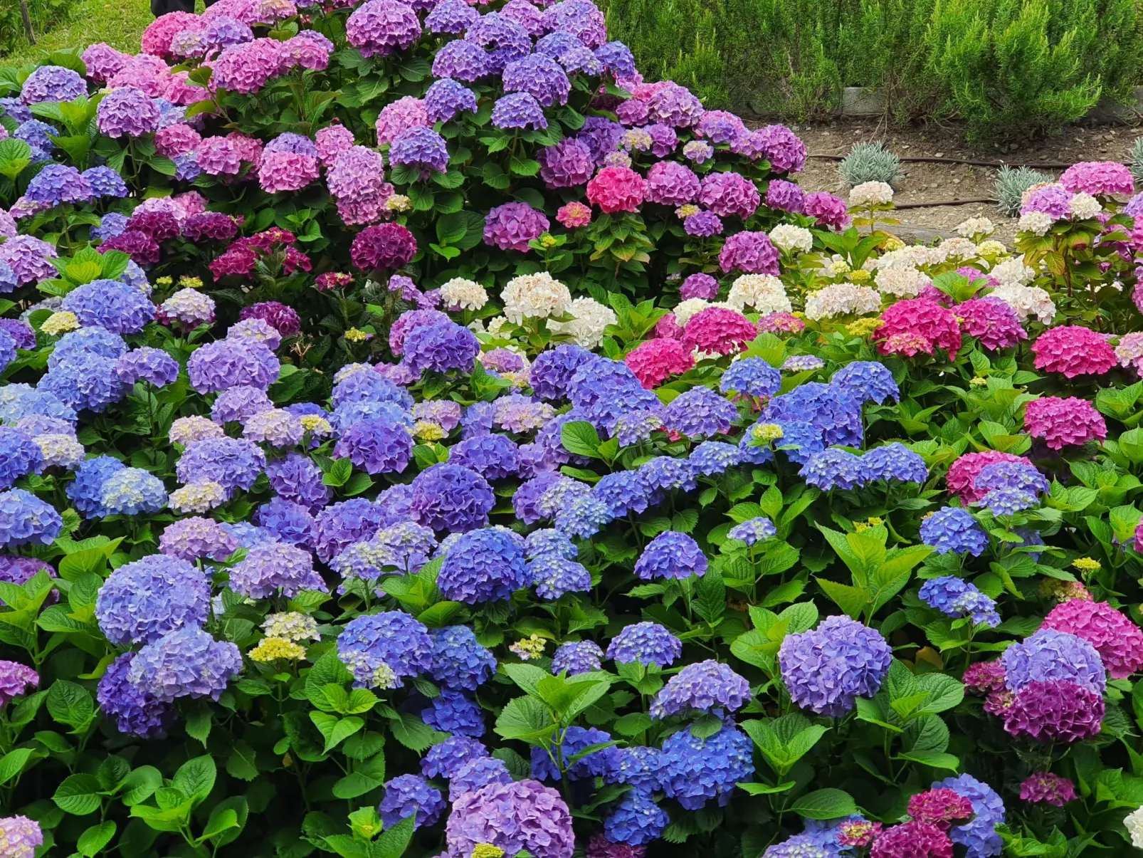 Wohnung mit Schwimmbad und fantastischem Seeblick-Buiten