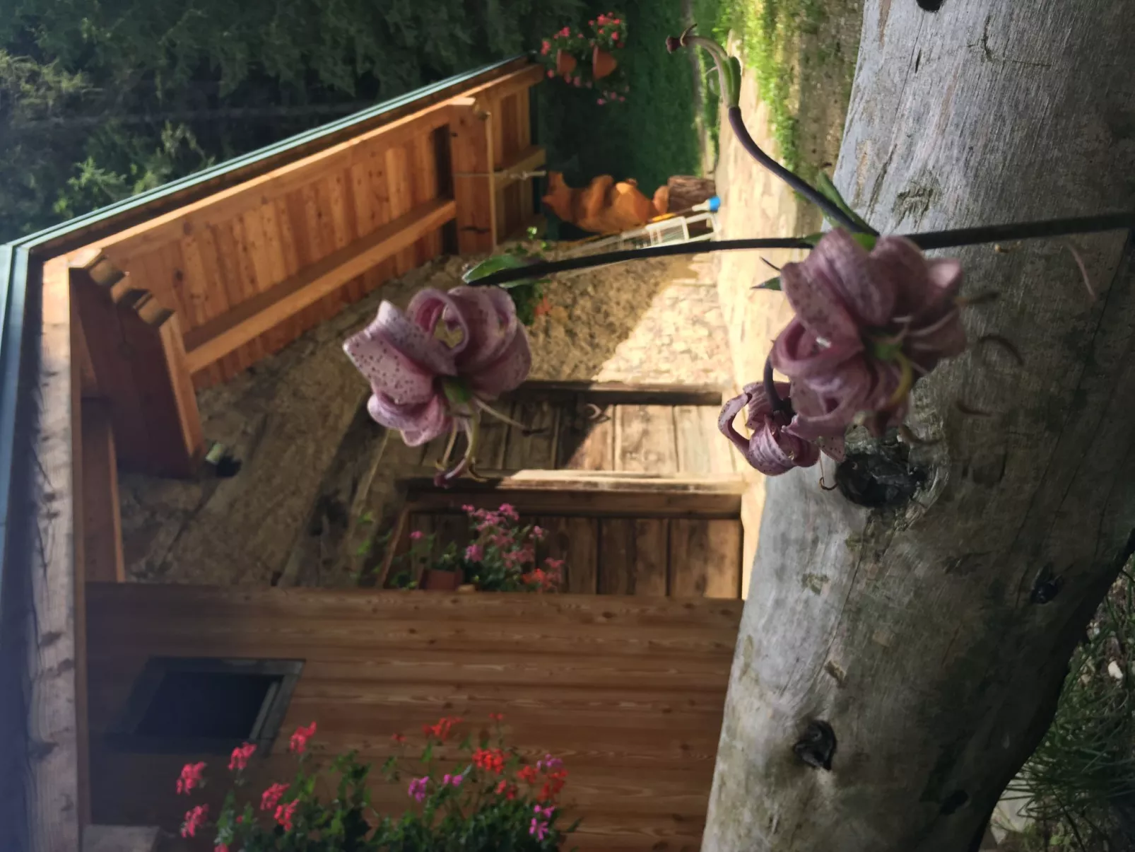 Mit Sauna in Pieve Di Bono-Buiten