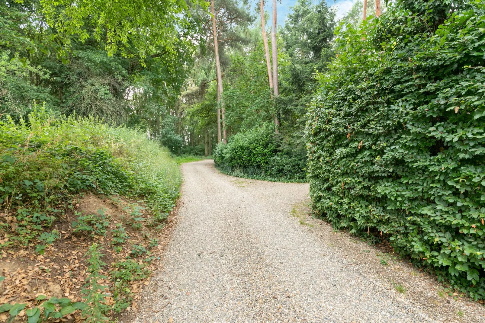 Ut Huuske-Gebieden zomer 1km