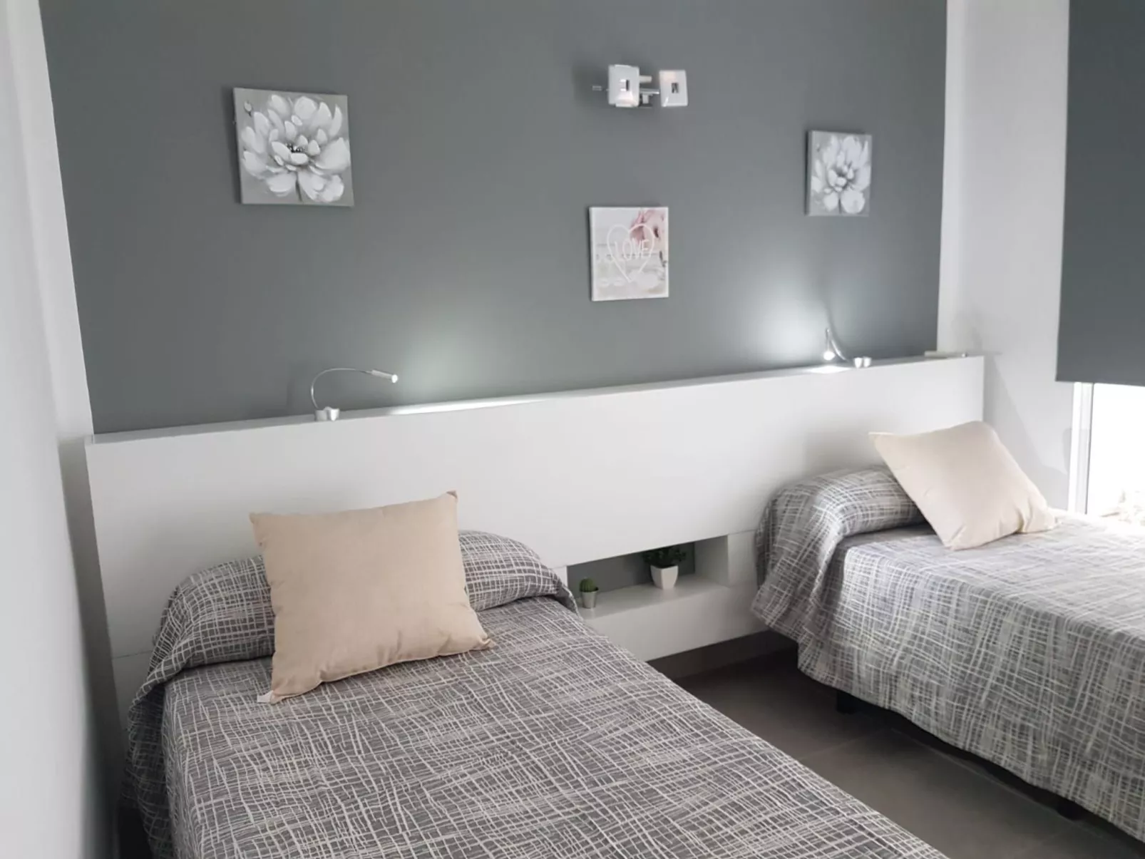 Widder vor dem Meer-Image-tags.info