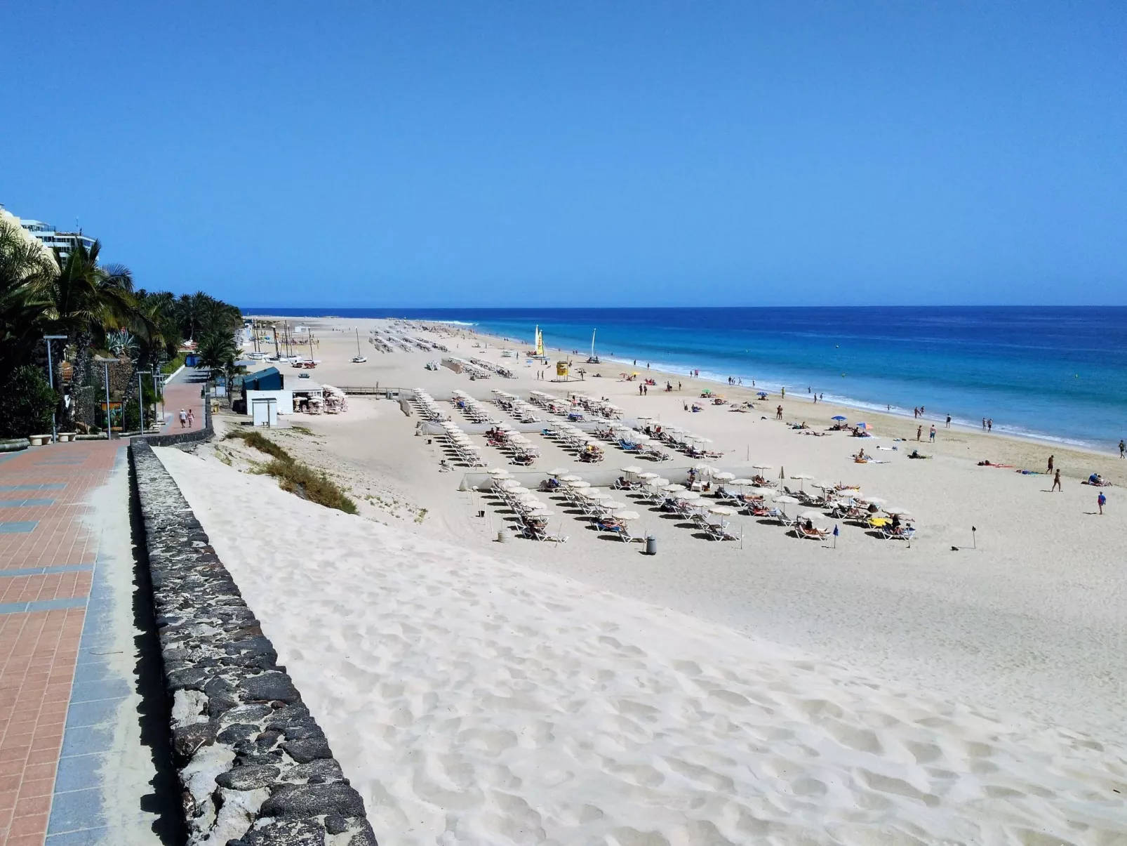 Wohnungen Palm Garden-Binnen