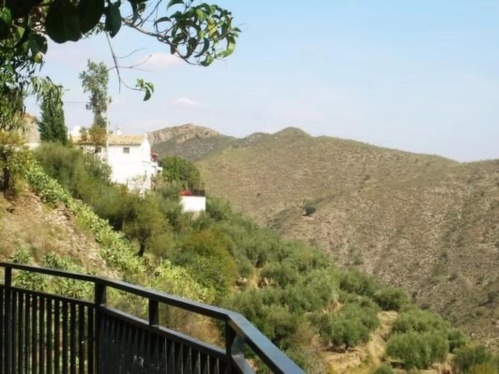 Tenguerengue-Image-tags.info