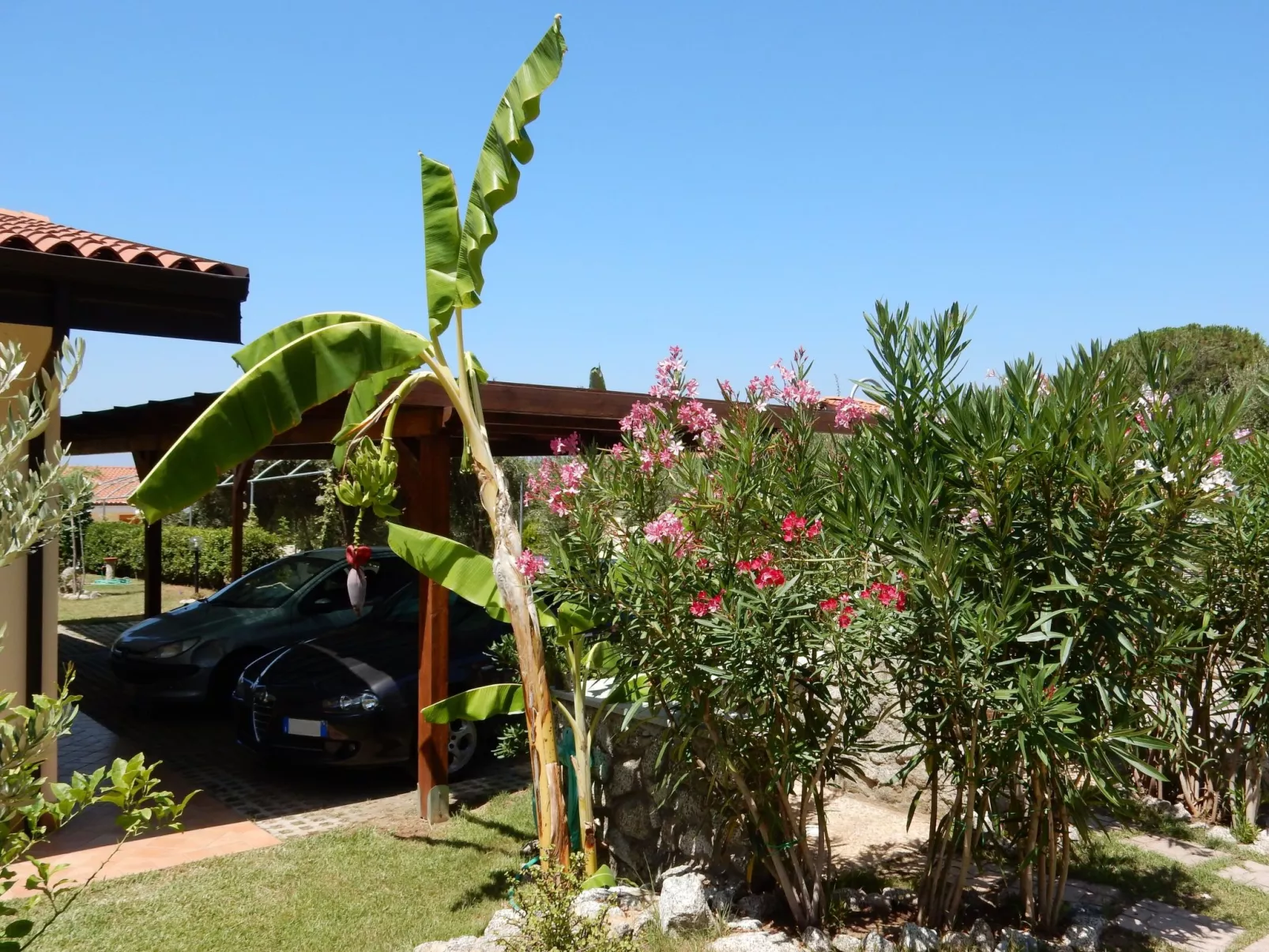 Komfortwohnung mit Garten - 70 m vom Meer entfernt-Image-tags.info