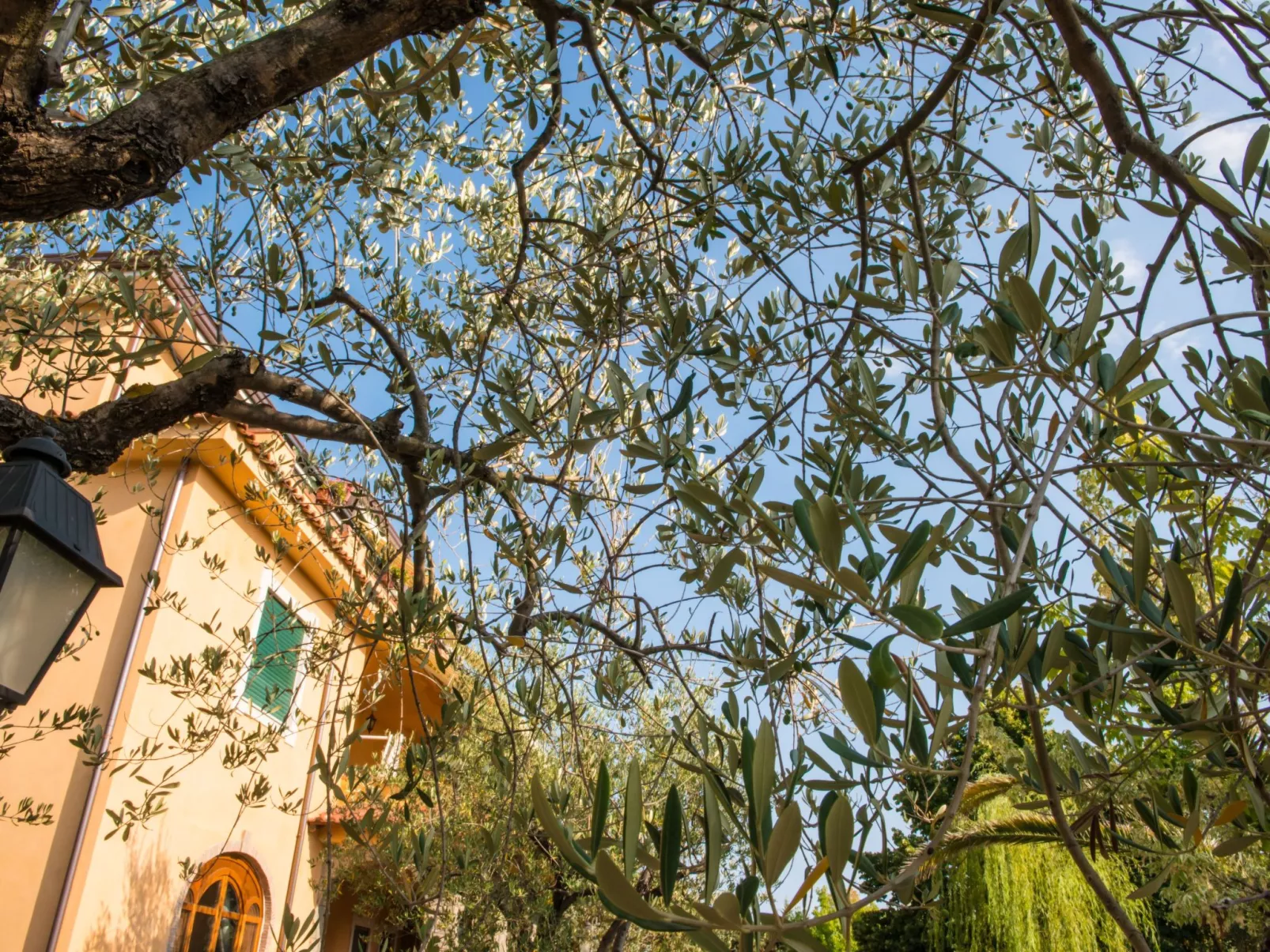 Drei-Zimmer-Wohnung für 4 Personen-Buiten