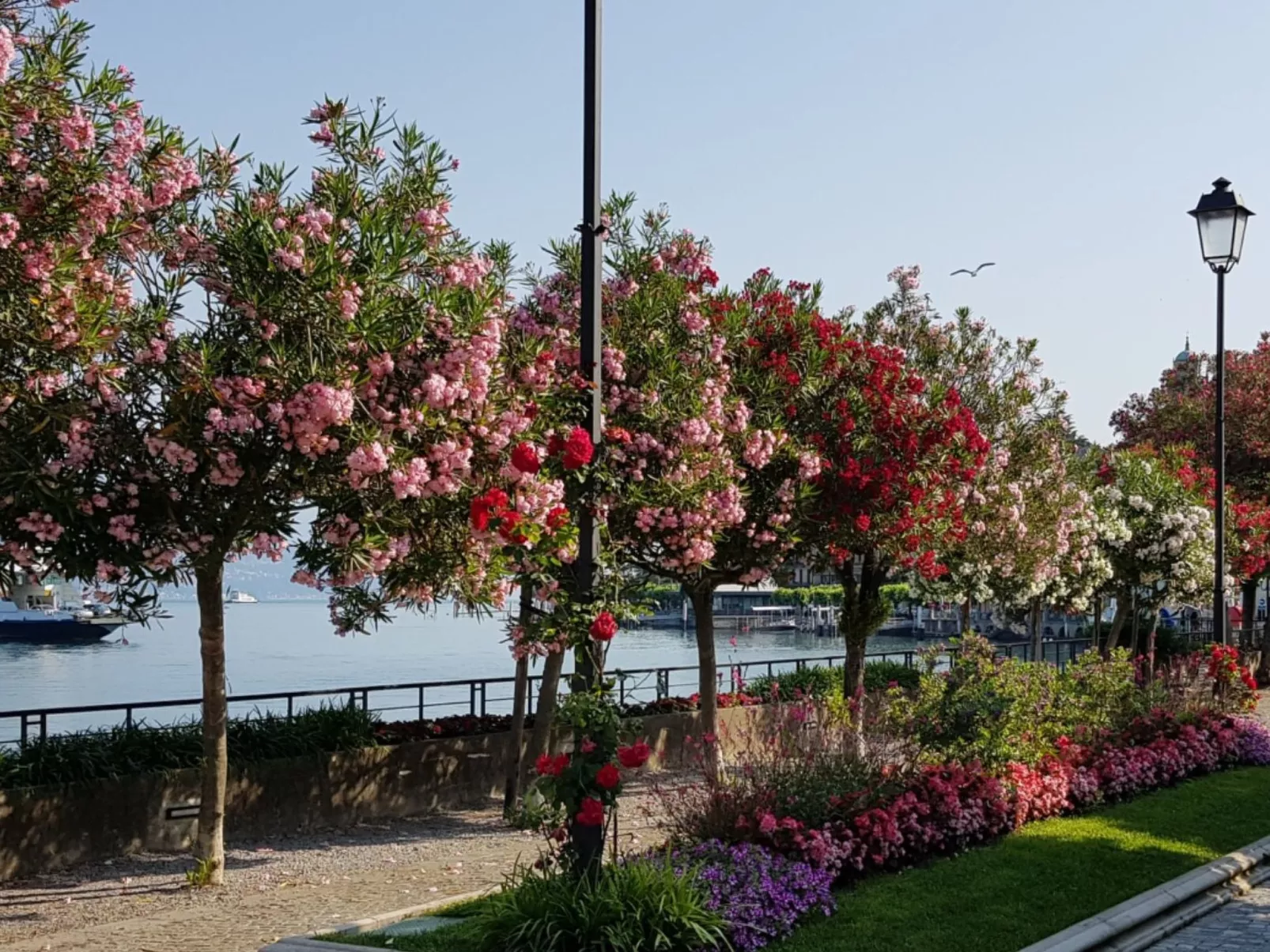 Ein-Zimmer-Wohnung 'Casa Valery' mit Wasserblick-Image-tags.info