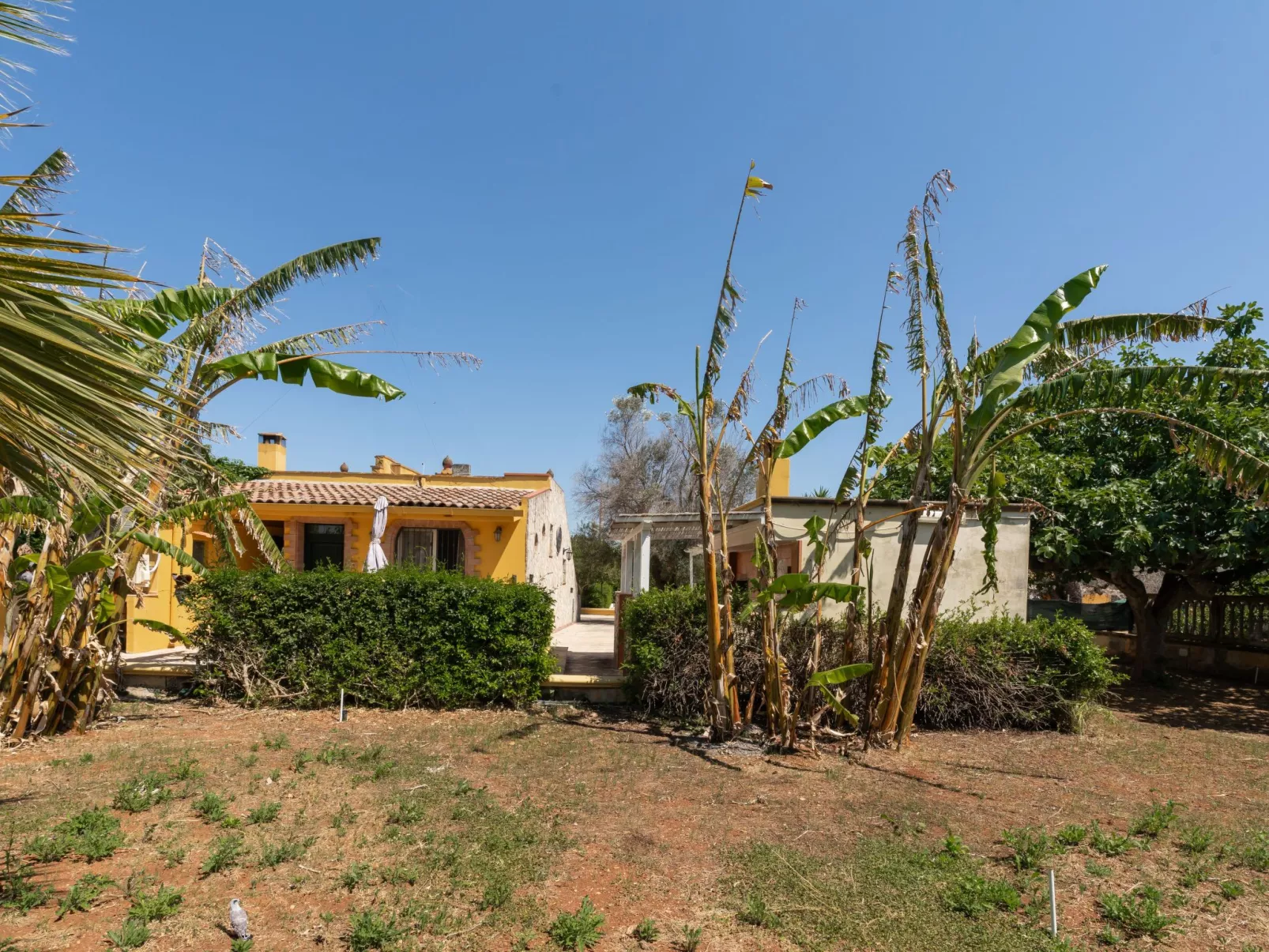 Villa Azzurra mit Pool - Buiten