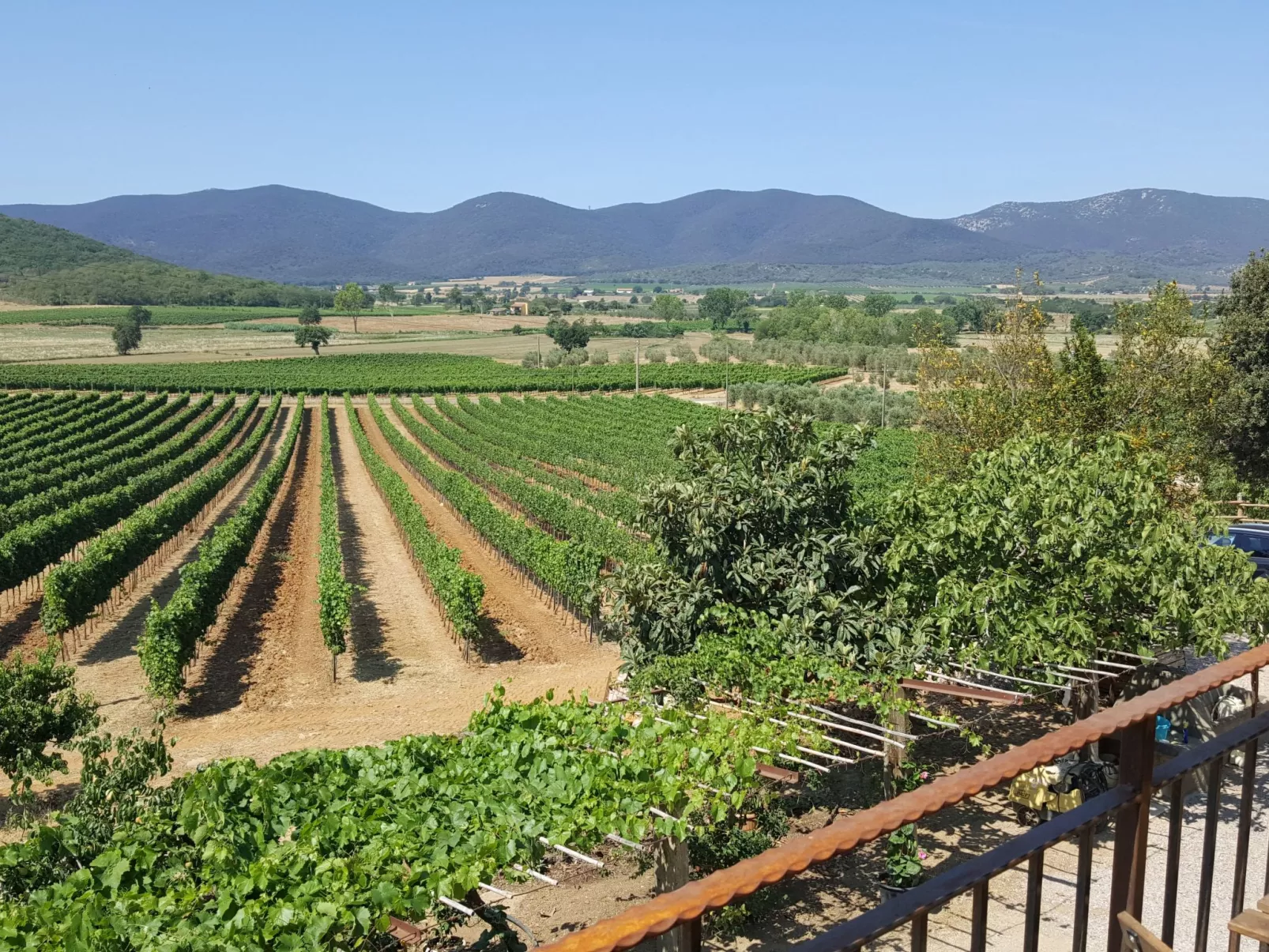 Bio-Bauernhof in der Maremma Park-Buiten