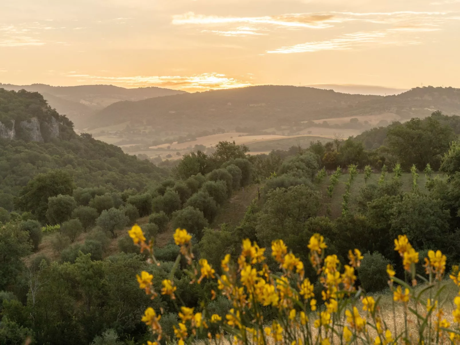 'Casa del Sole' mit Gemeinschaftspool-Buiten