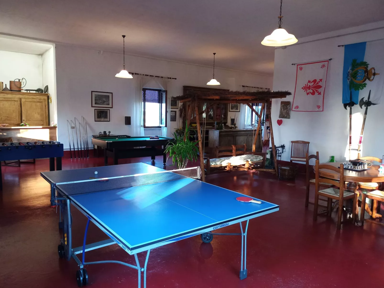 Flache Kornblume-Binnen