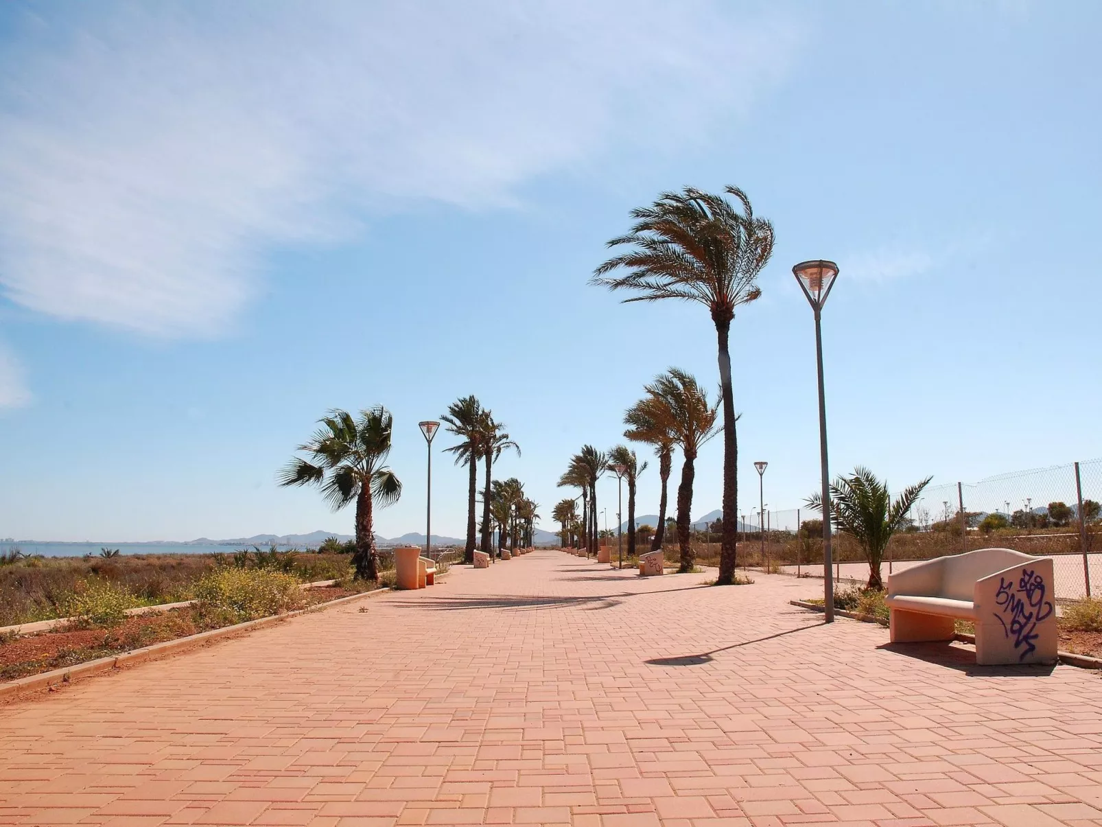 Olivos 8-Image-tags.info