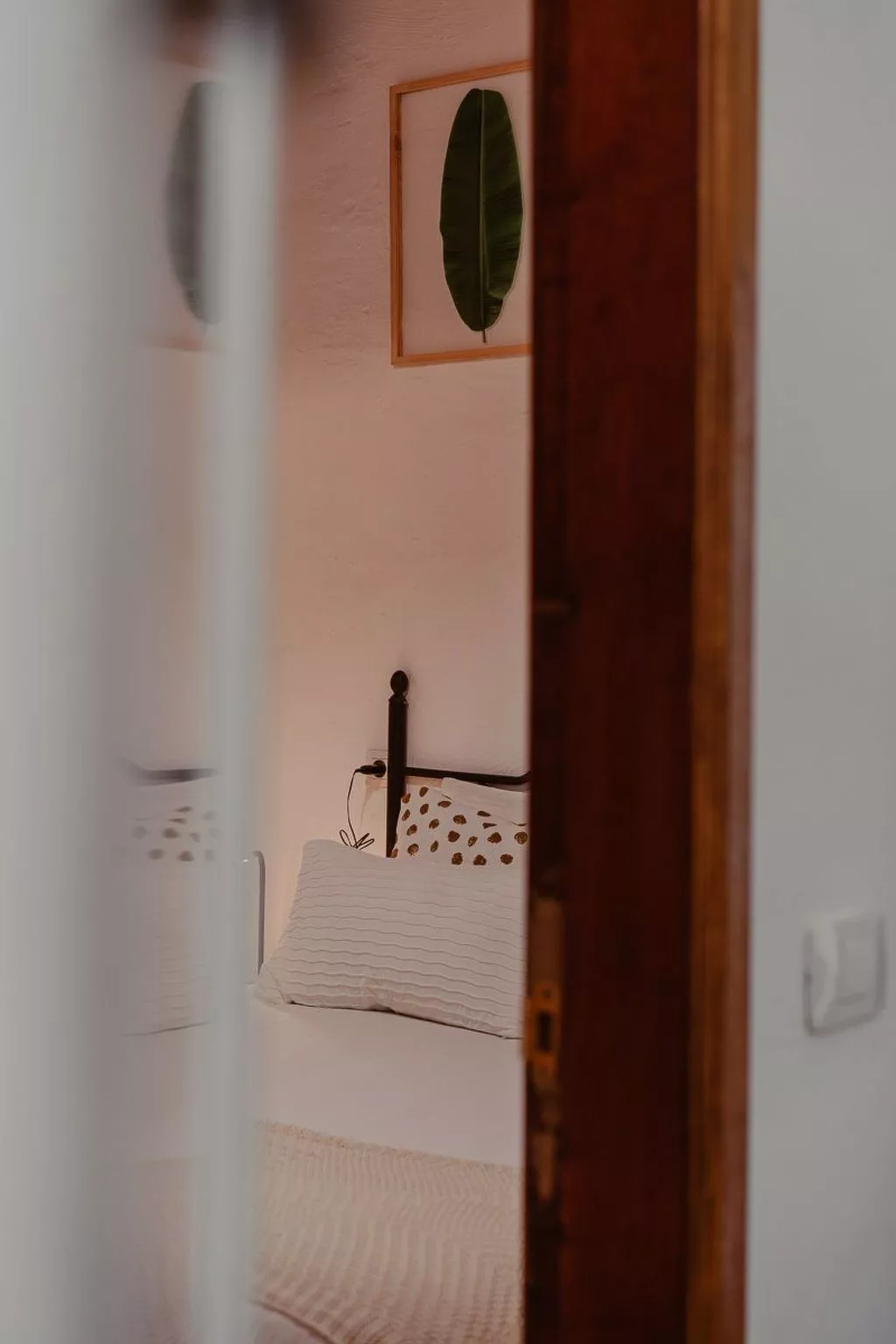 Holanda Tropic Deluxe-Image-tags.info