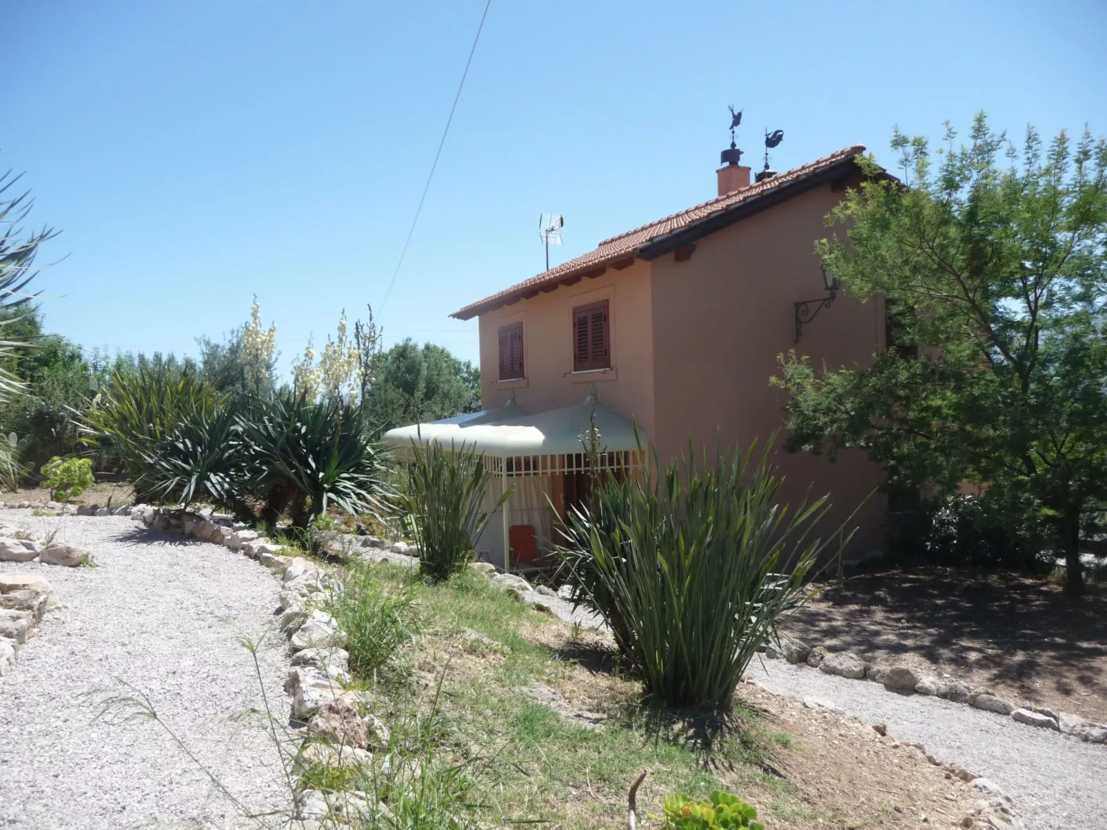 'Suite Fico Nero-Buiten