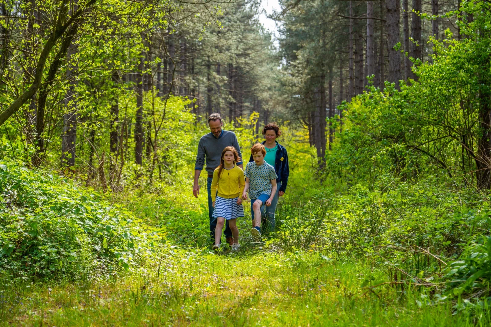 Resort Hoge Kempen 9-Gebieden zomer 1km