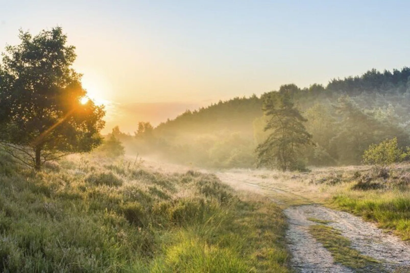 Resort Hoge Kempen 9-Gebieden zomer 5km