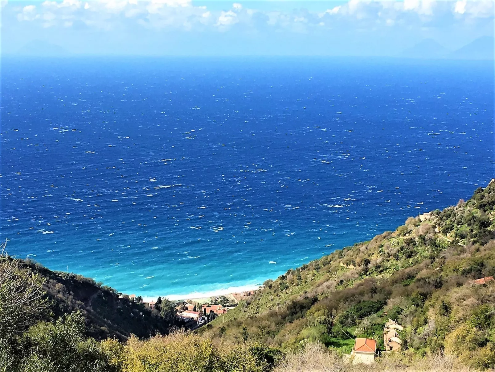 Flache Zeder-Image-tags.info