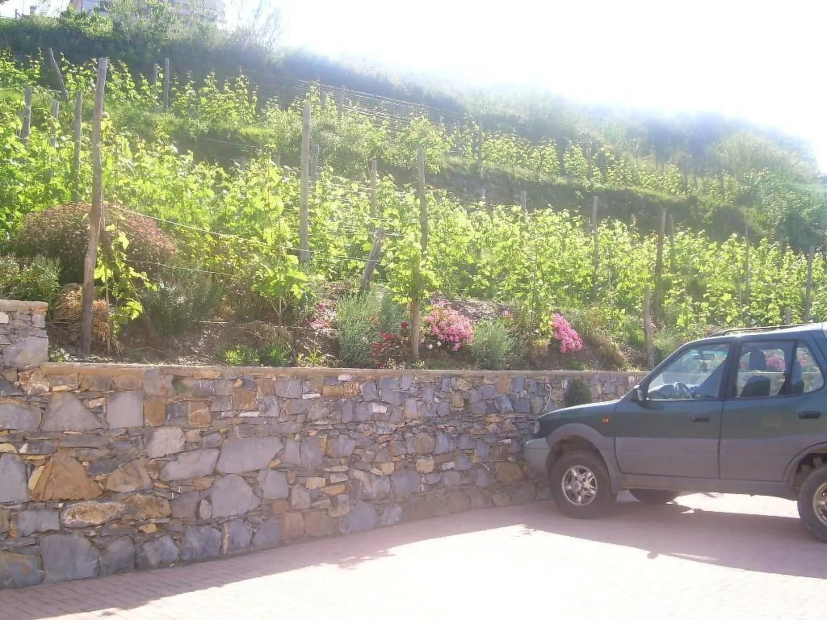 Wohnung mit Terrasse mit Meerblick-Image-tags.info